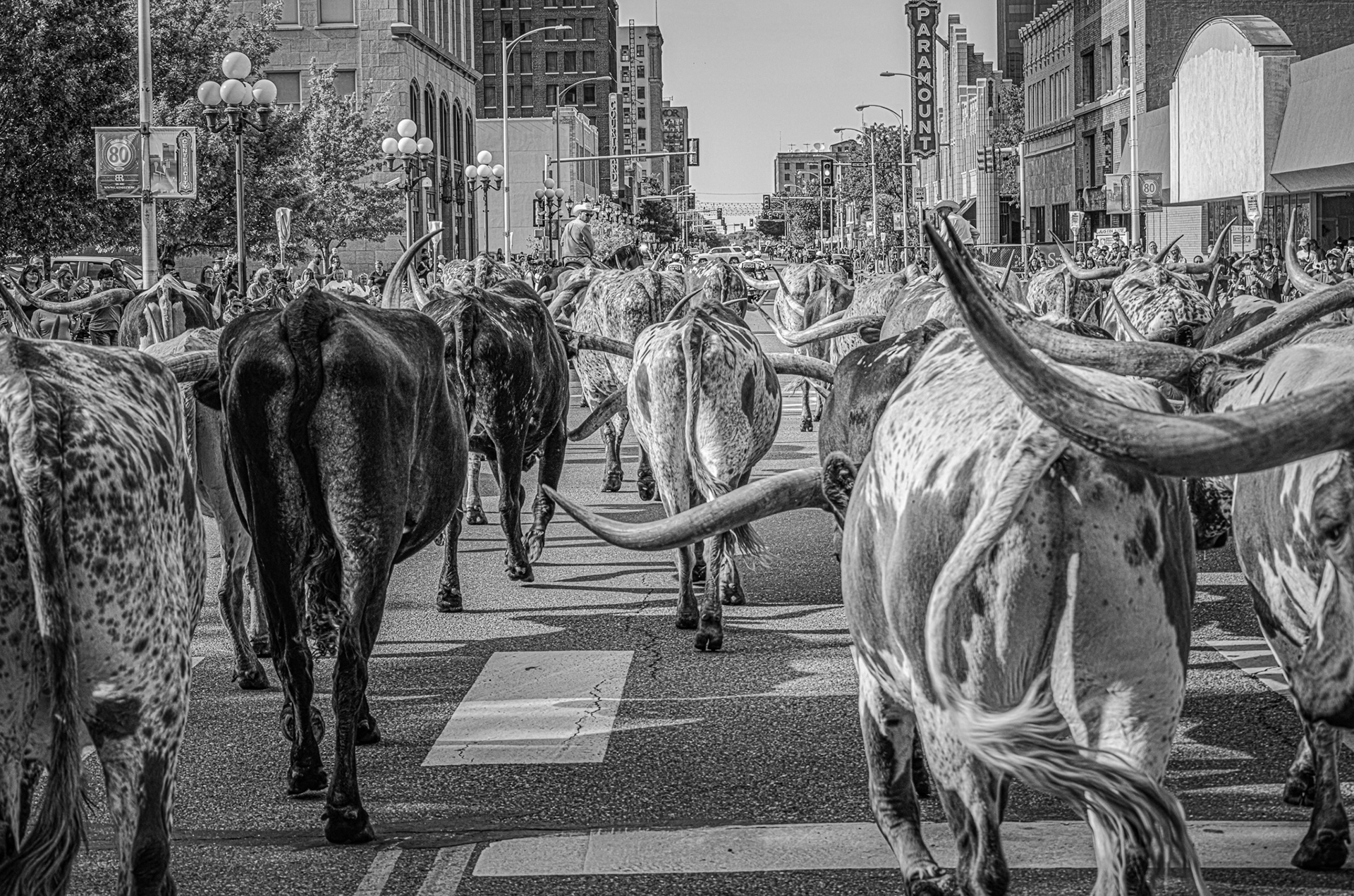 Ole Town Road