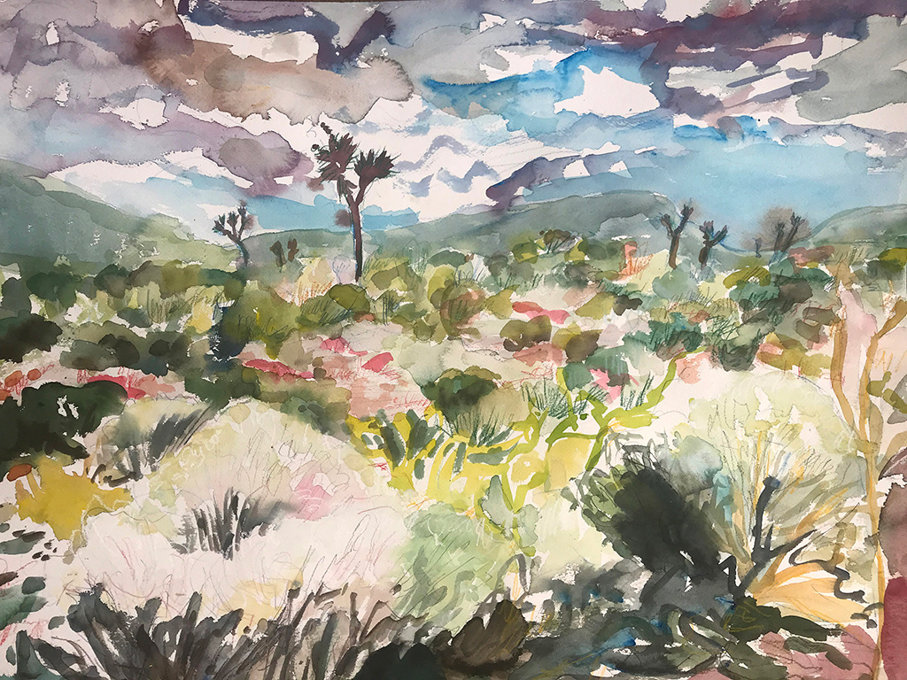 Rabbitbrush, Death Valley, 2019 watercolor 18 x 24"