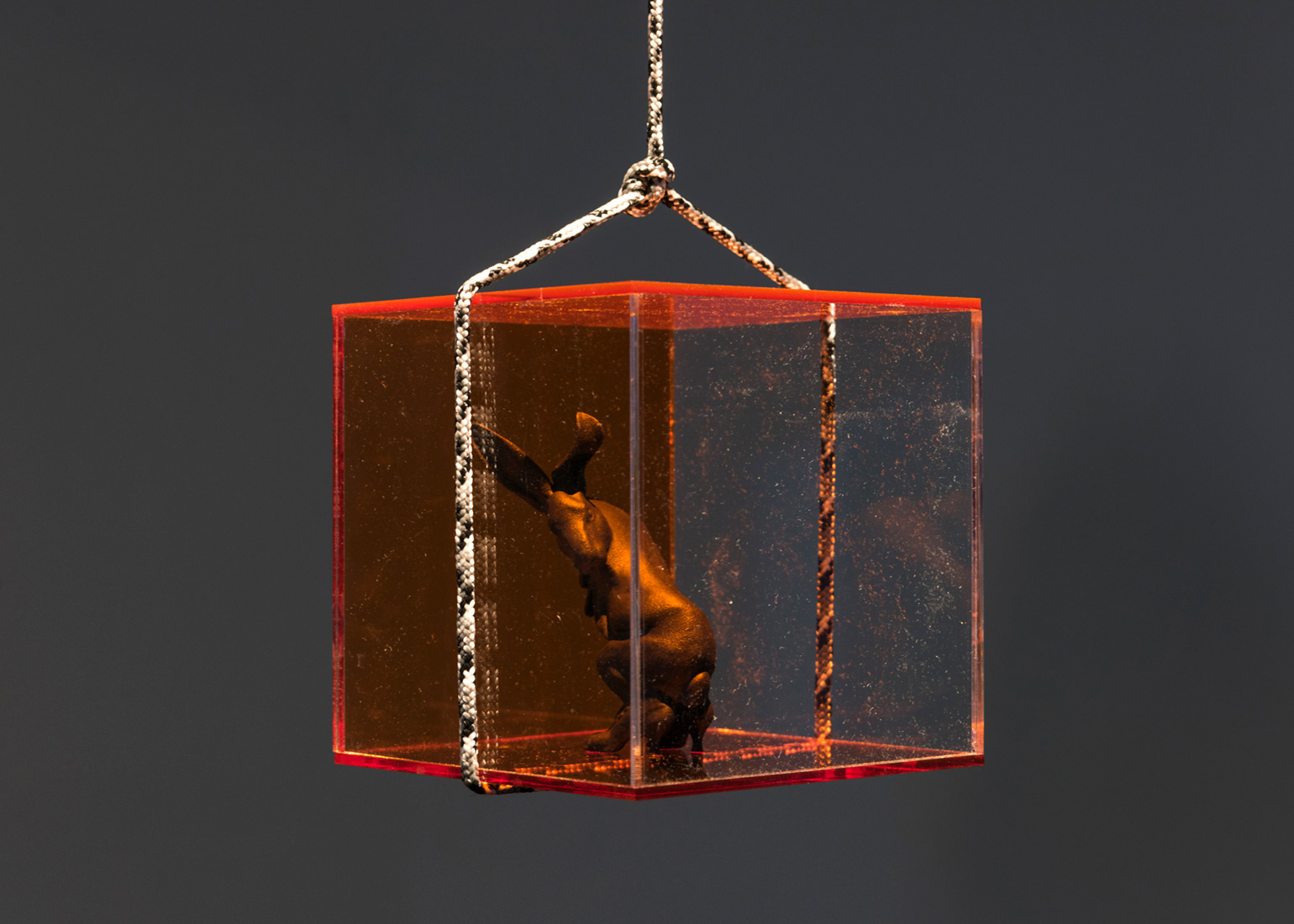 "Kunstkamera, i saw you / saved Piter" (13cm x 13cm x 13cm). 3D print in nylon, acrylic case