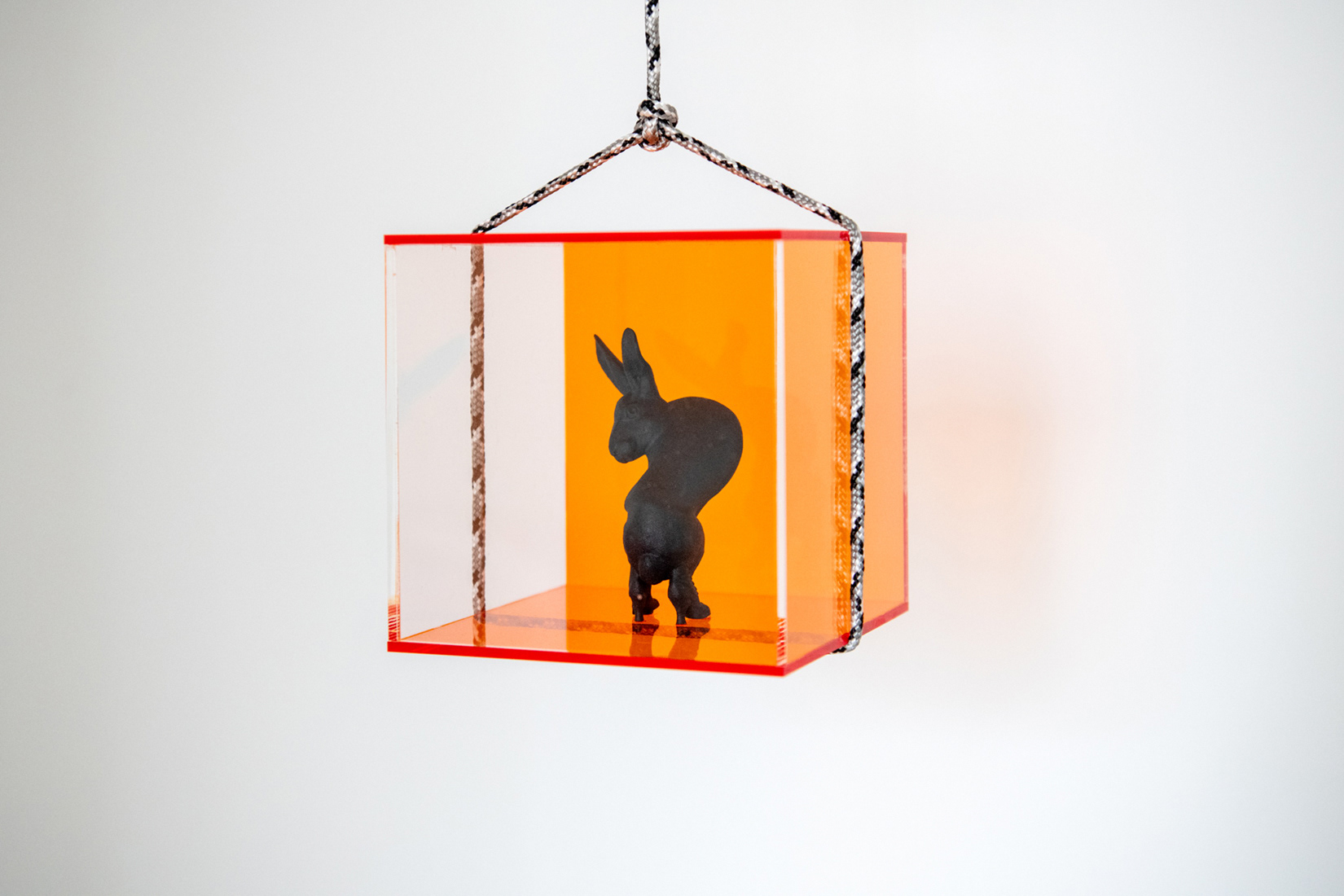 "Kunstkamera, i saw you / saved Piter" (13cm x 13cm x 13cm). 3D print in nylon, acrylic case