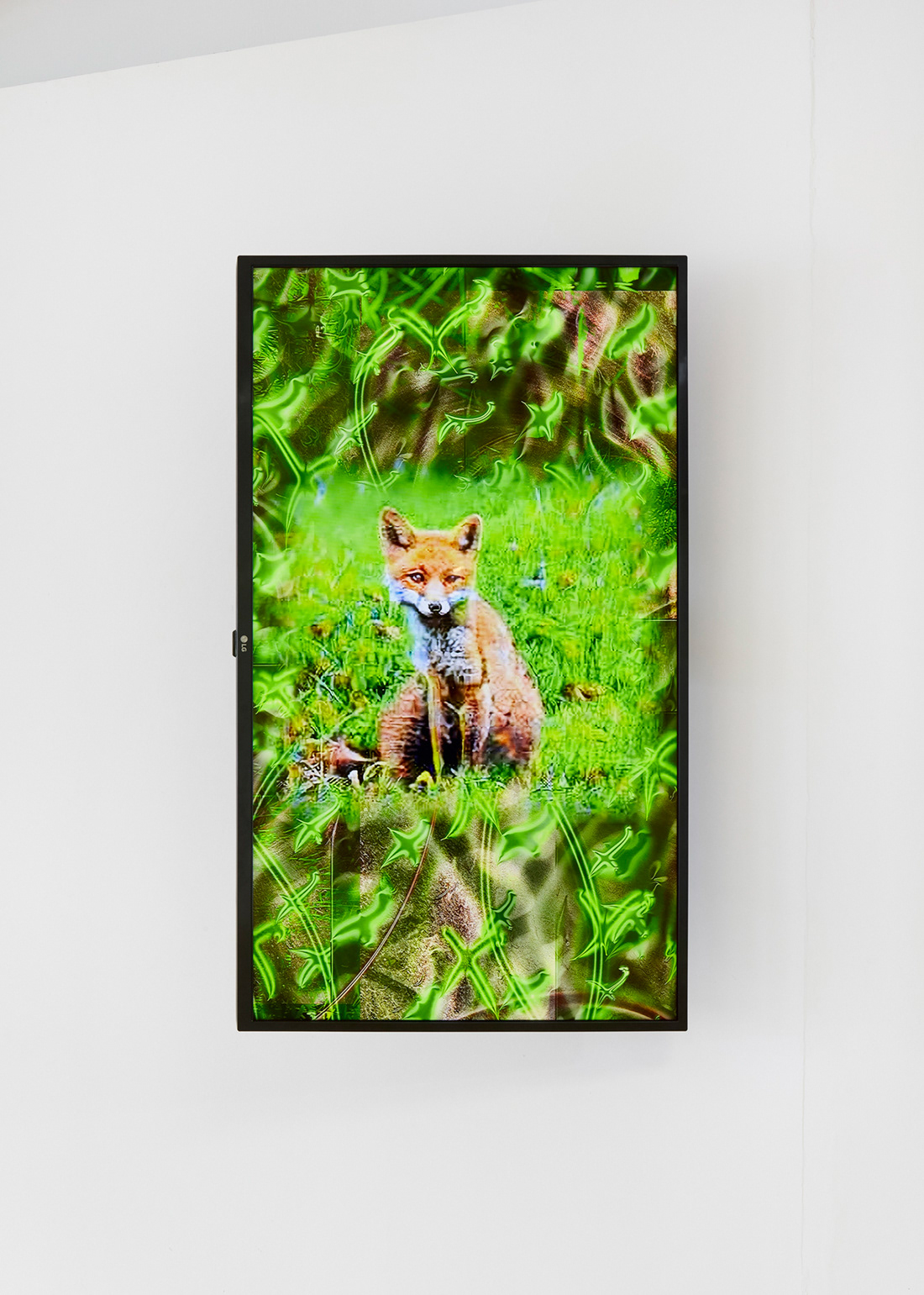 FOX GAN