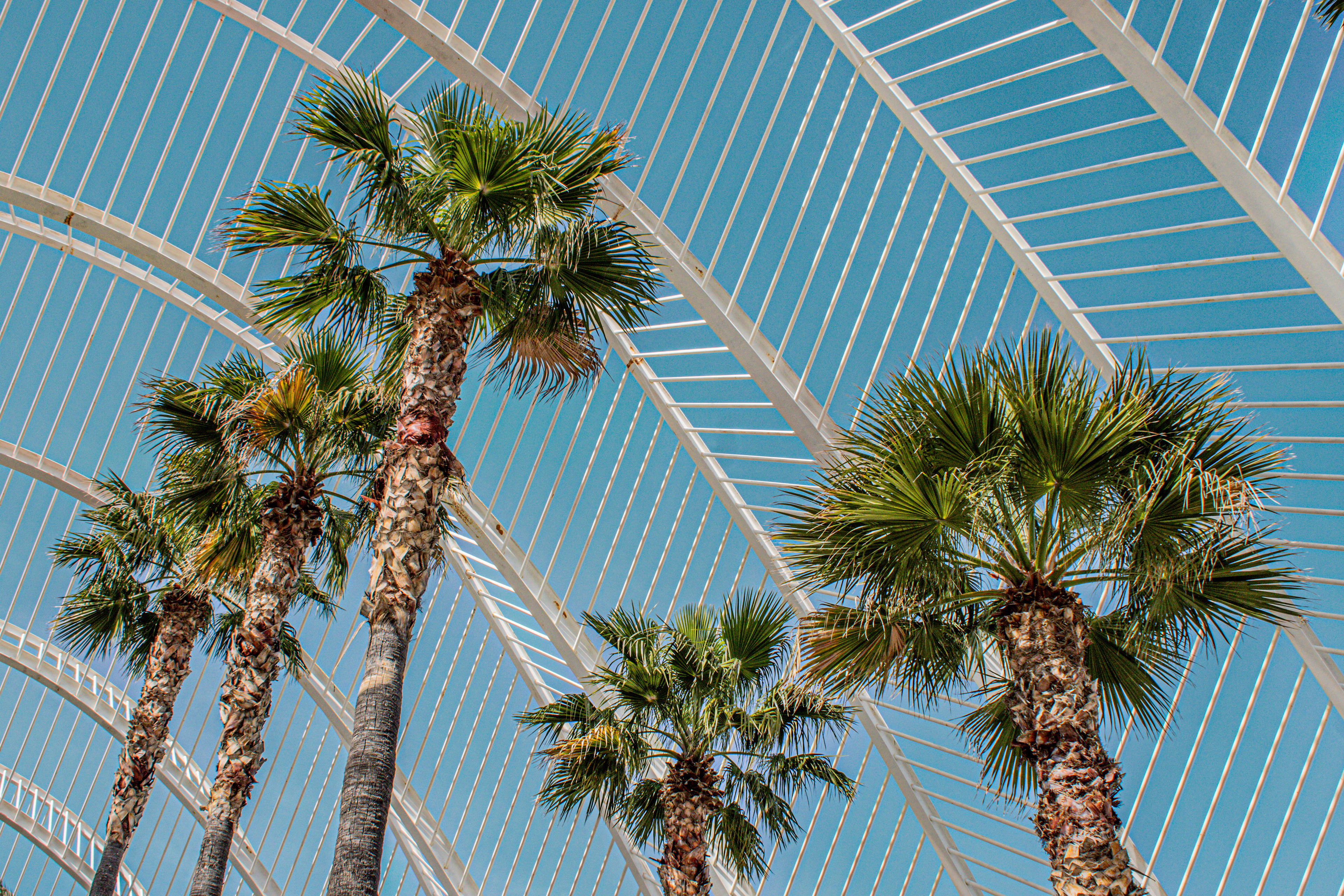 El Umbracle, València, Spain