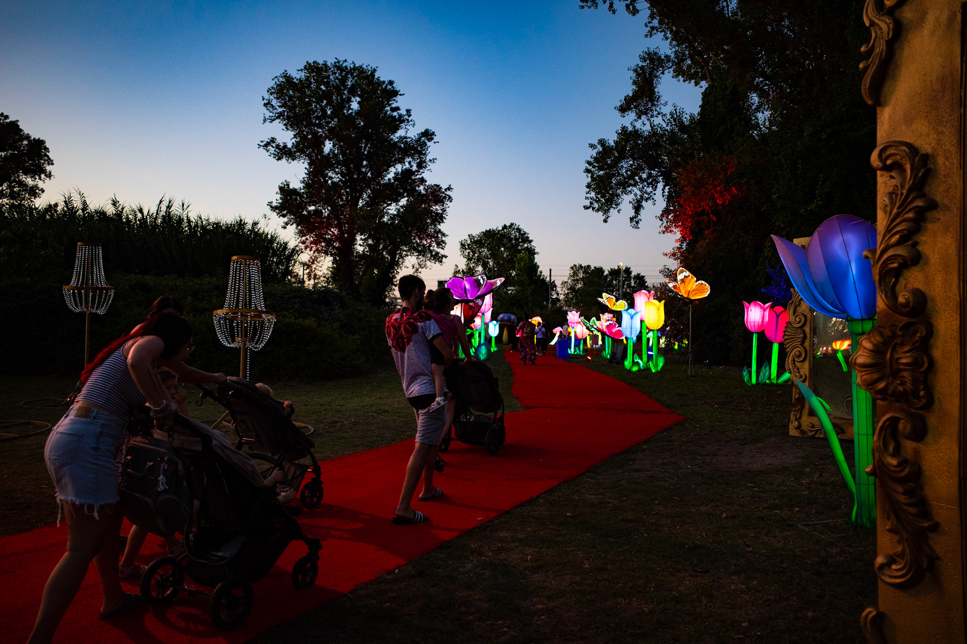 The garden where twilight blooms