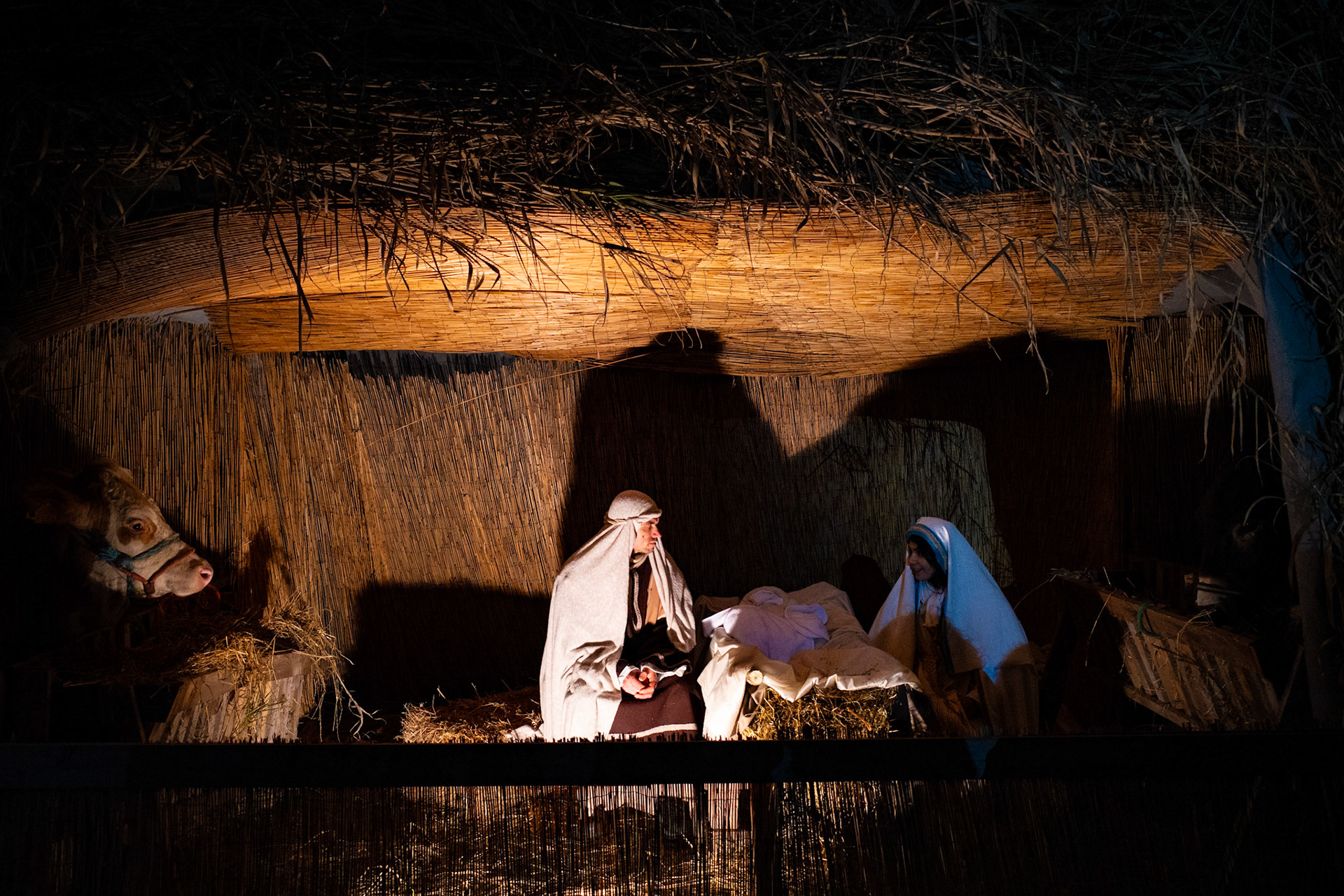 In the fragile silence of a shelter, life takes shape while time outside seems to fracture. Tired hands, gathered gazes, a humble light resisting the darkness. This is not an escape from the world, but its most vulnerable point: where hope is born precisely when everything around appears ready to give way.