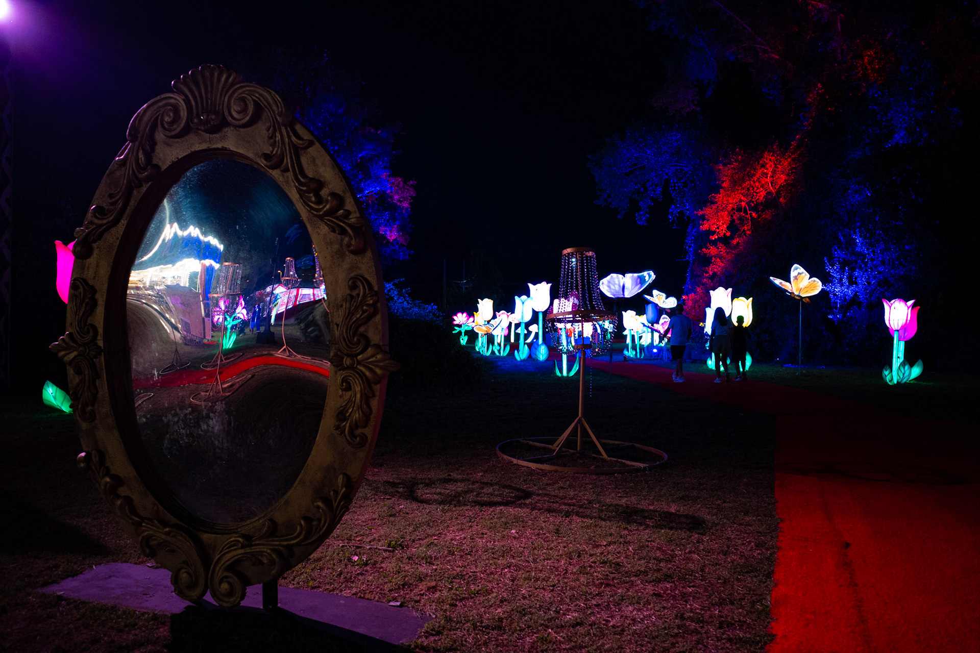 Through the looking glass of dreams