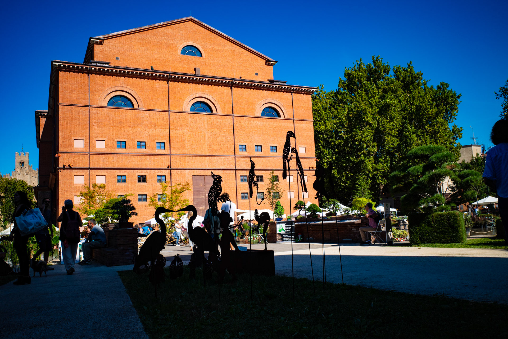Shadows of birds in the silence of brick and sky