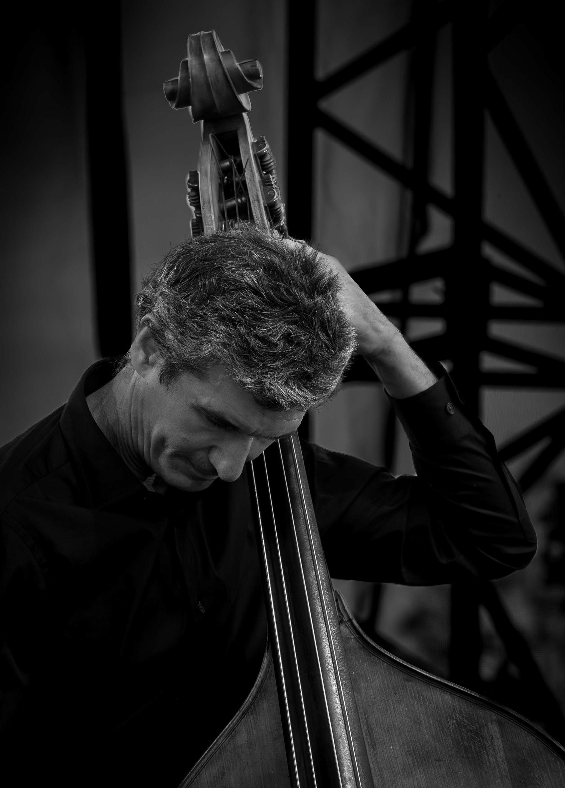 DJANGO WARD - BIPER SWING
