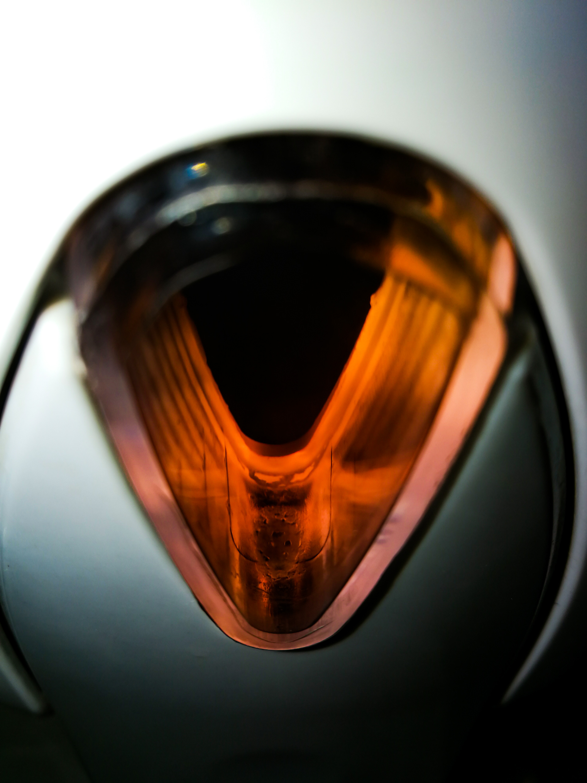 "The Eye of a dragon" - a close up photo of a soap dish in the Warsaw Zoological Garden