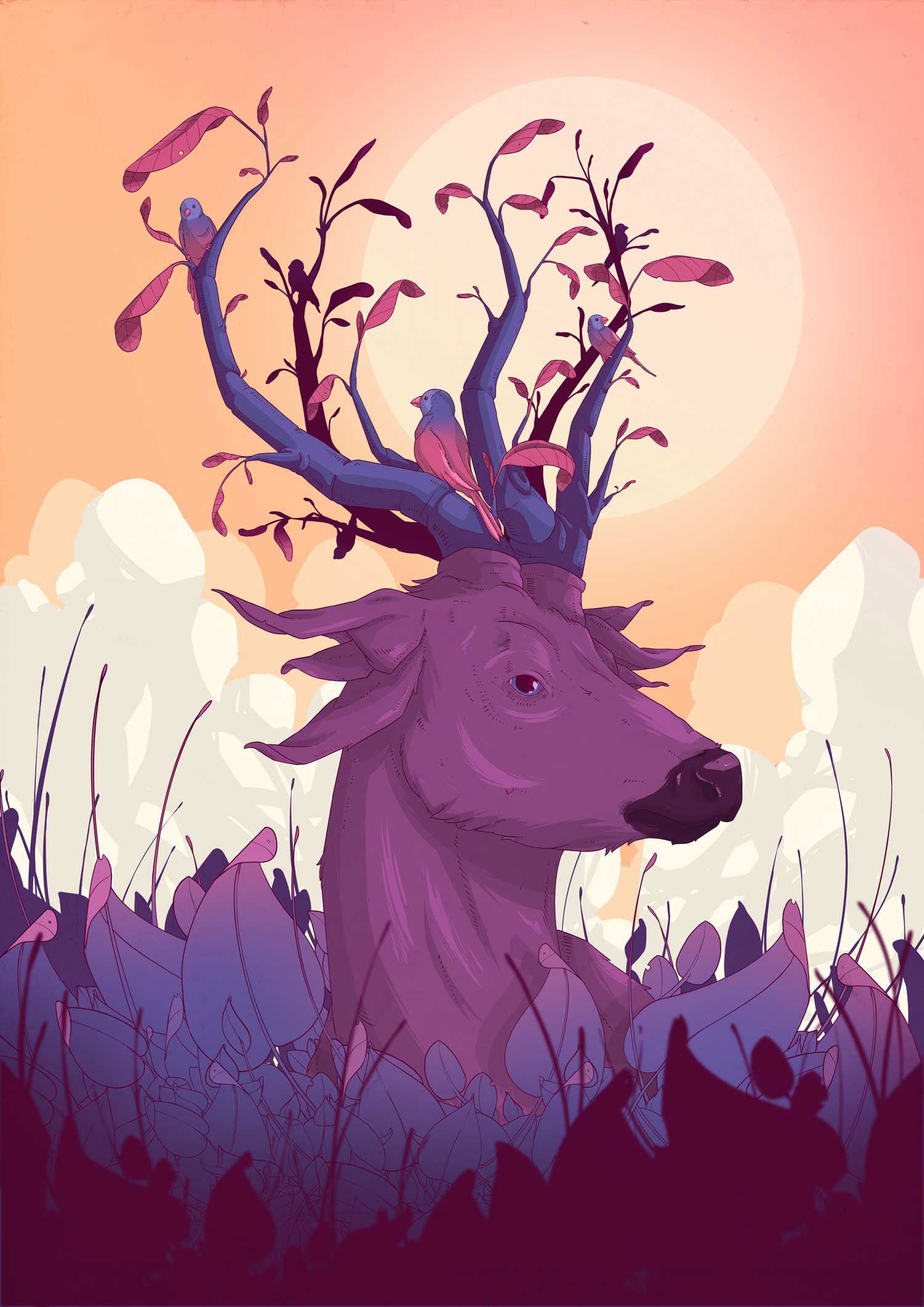 Deer main illustration