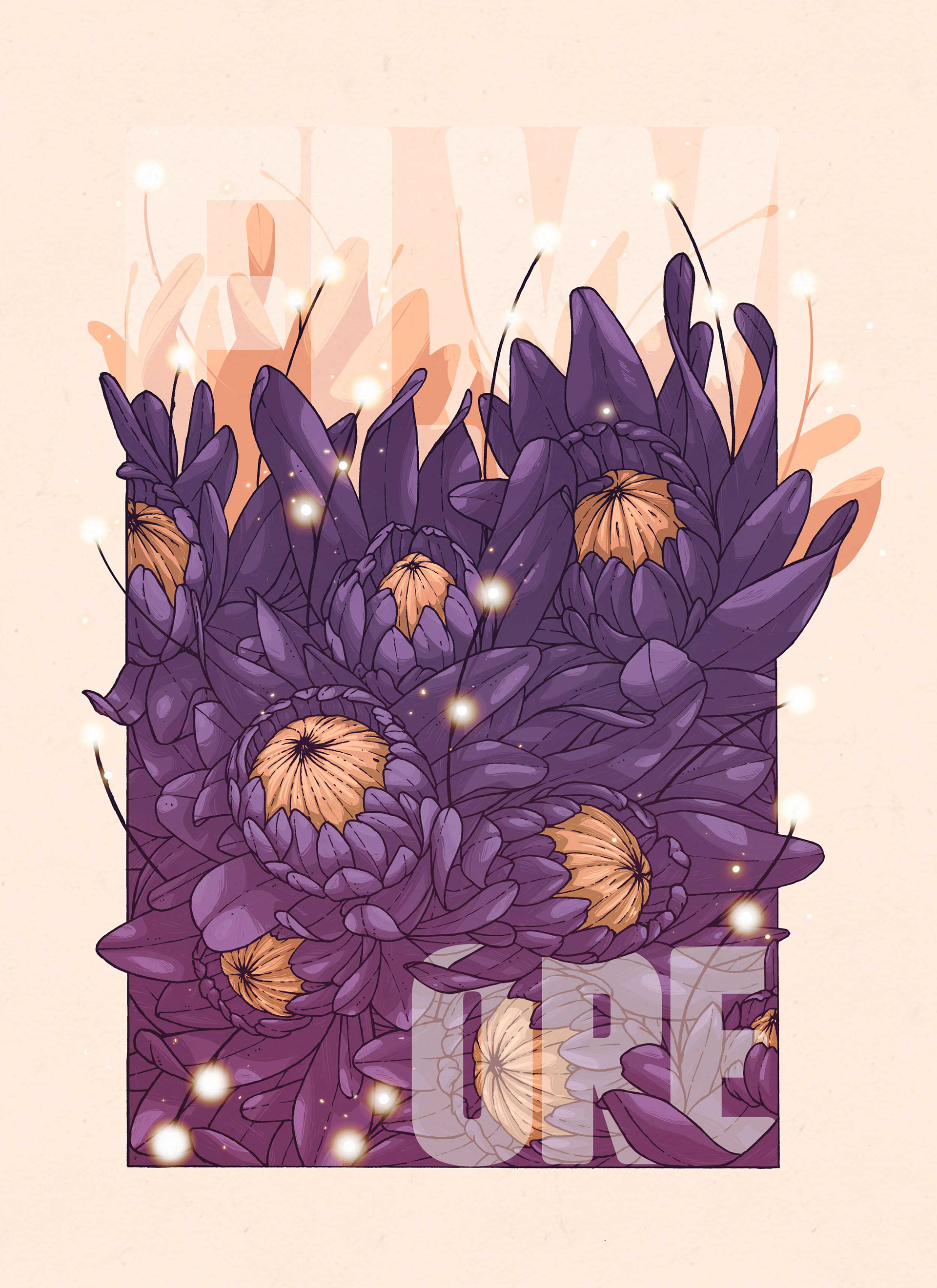 Protea main illustration