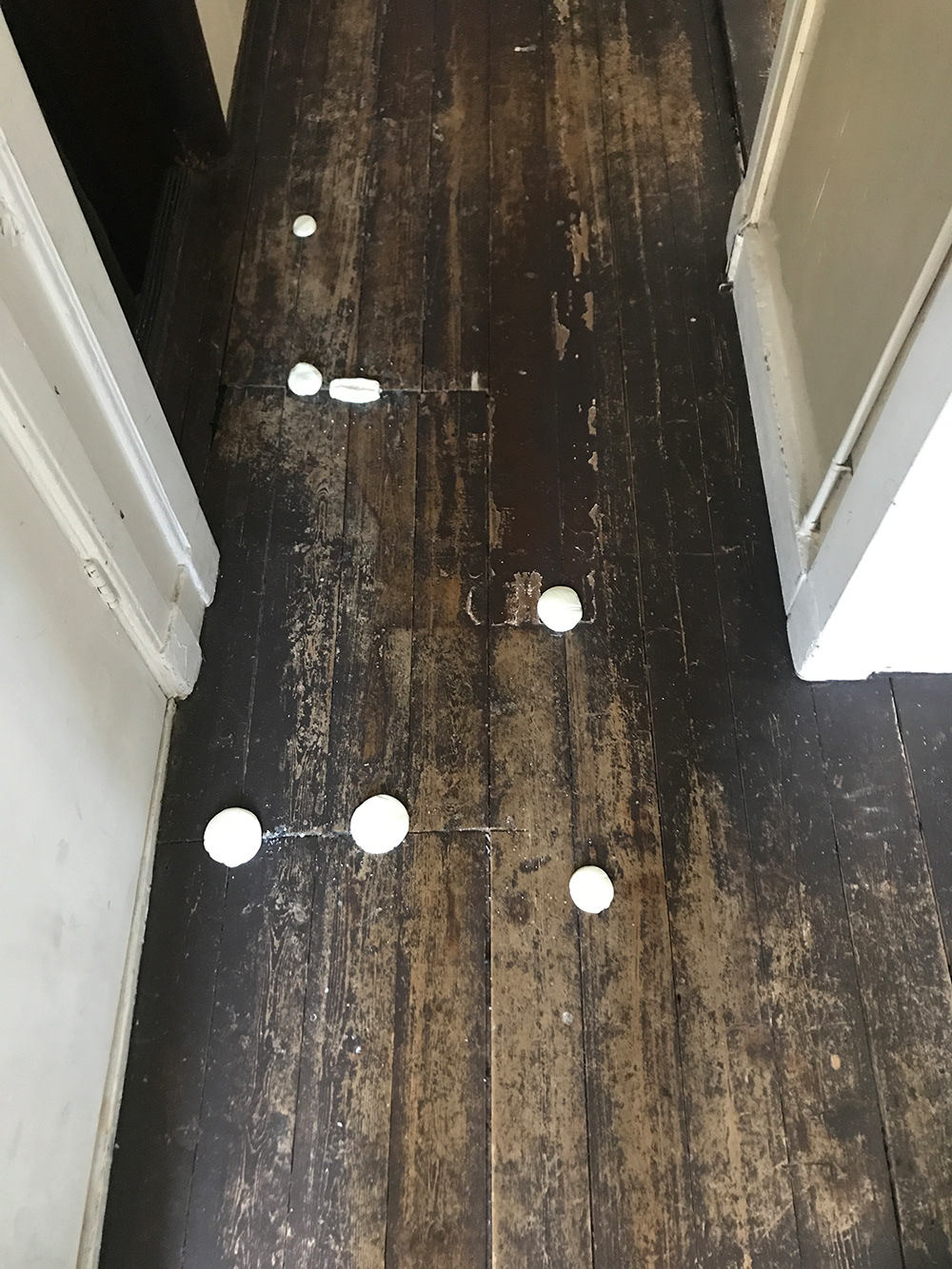 silicon molds of wooden floor, home Amsterdam Noord