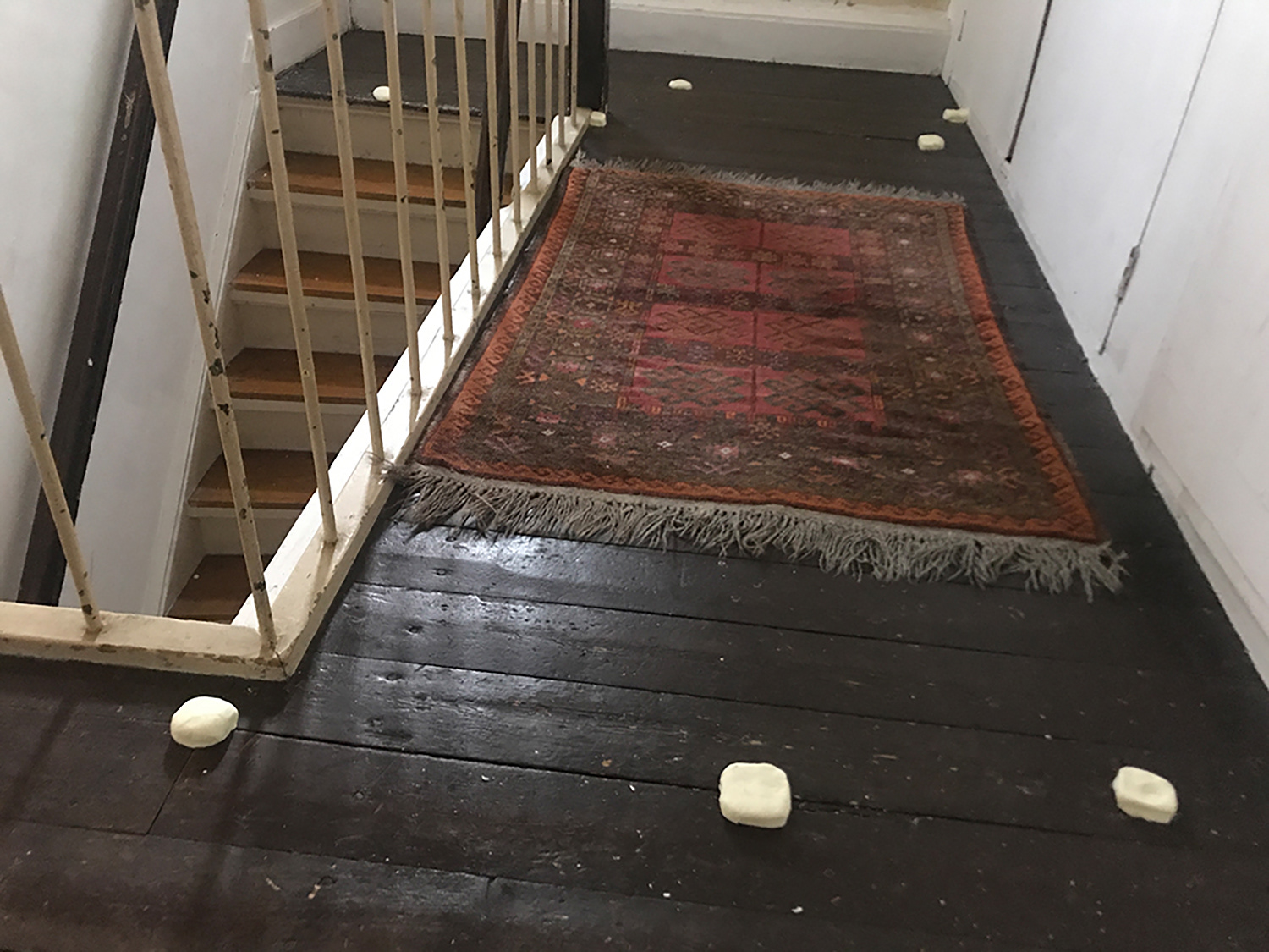 silicon molds of wooden floor, home Amsterdam Noord