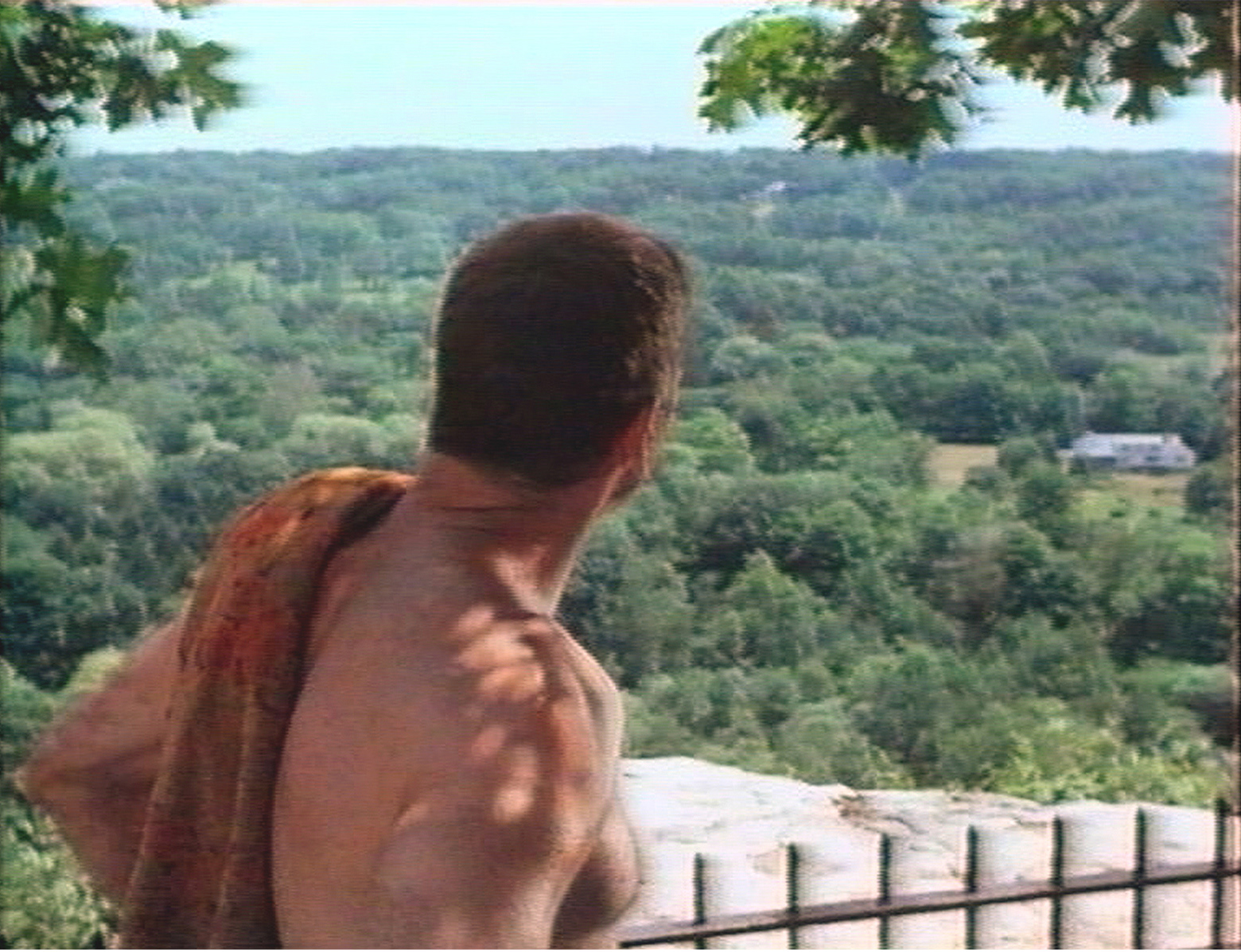 The Swimmer, Frank Perry, 1968, film still