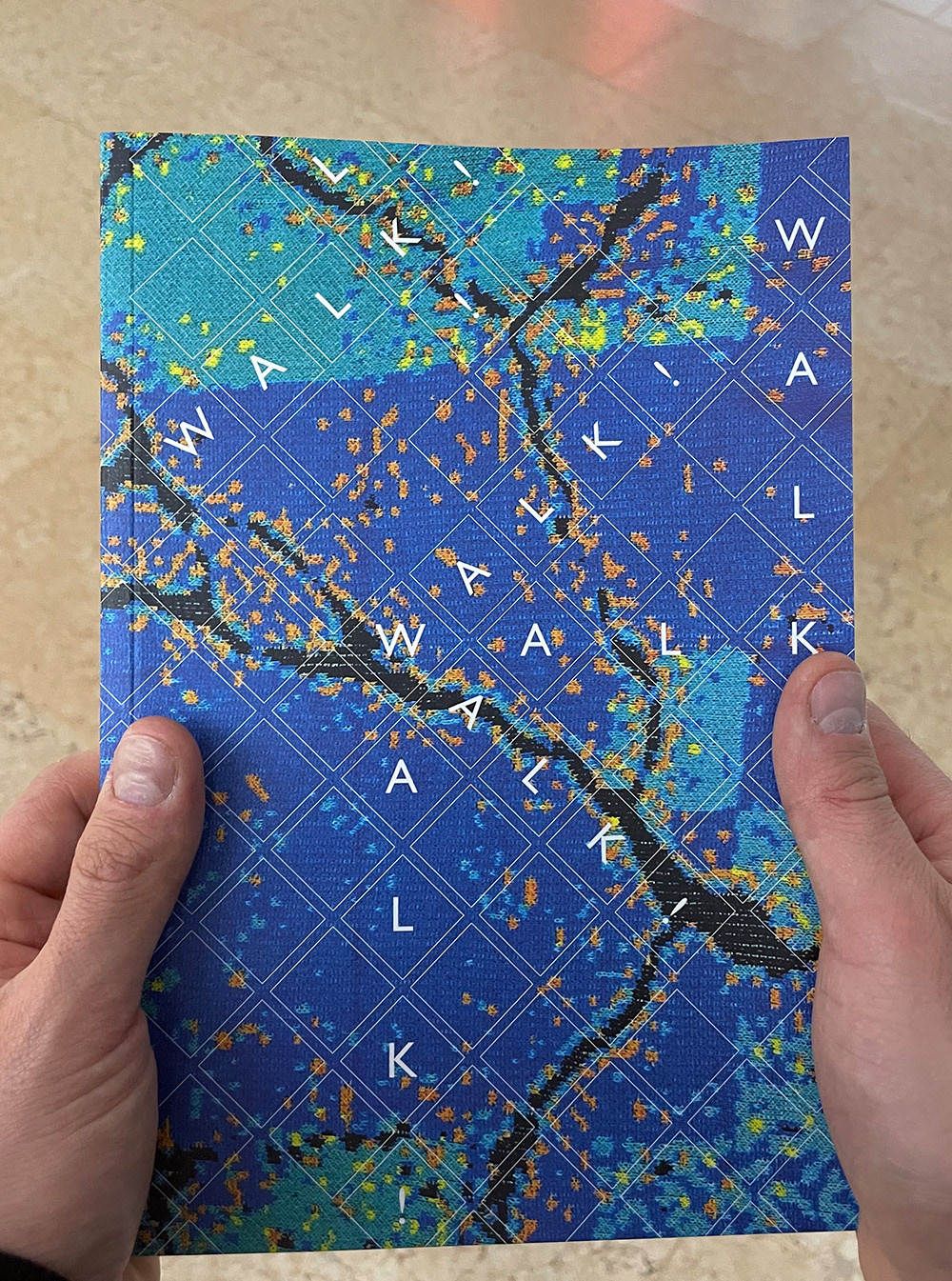 Detail of Passage (Macao 50% cotton, 50% polyester) on the cover of the Walk! exhibition catalogue, Schirn Kunsthalle Frankfurt.