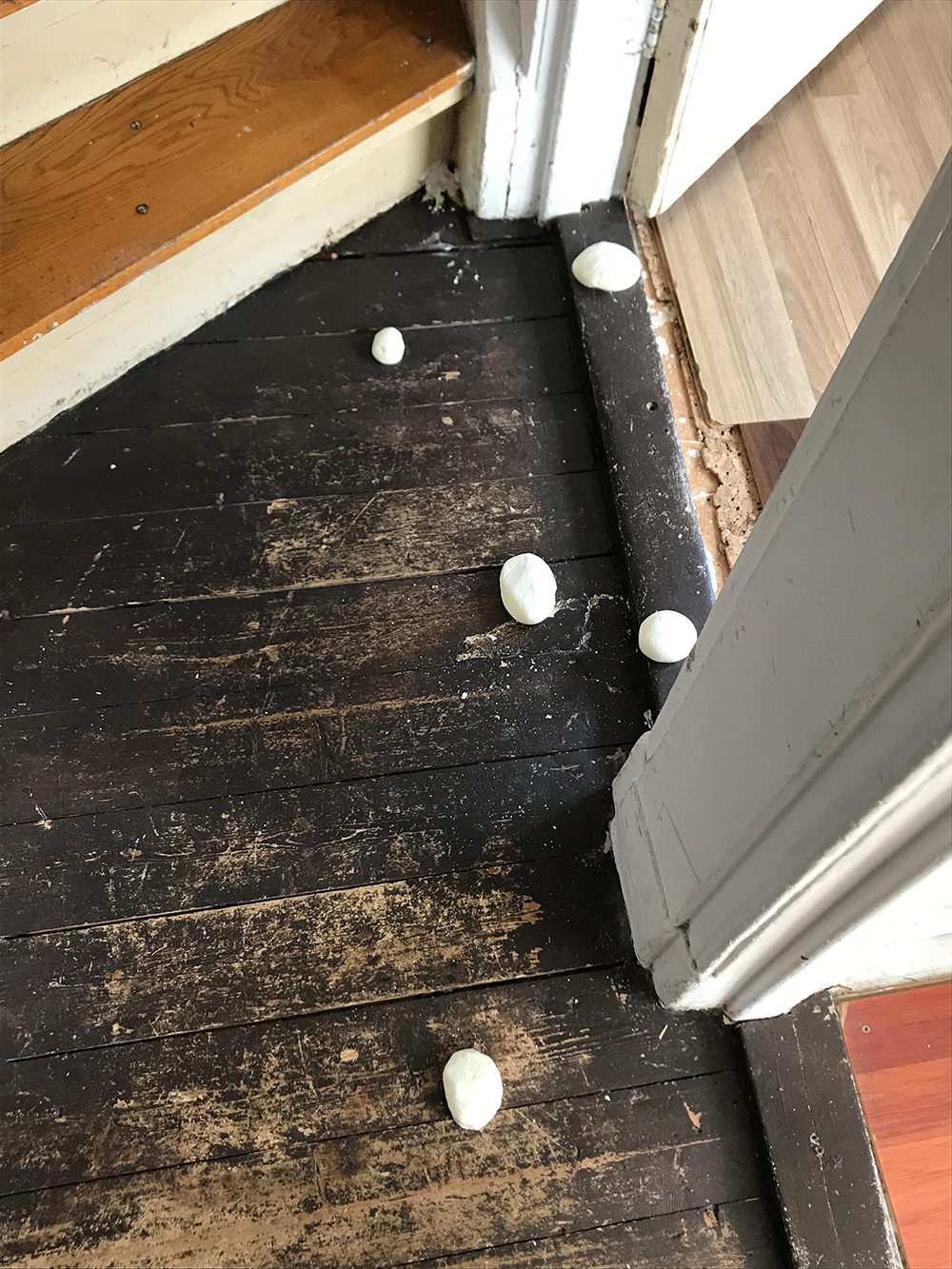 silicon molds of wooden floor, home Amsterdam Noord