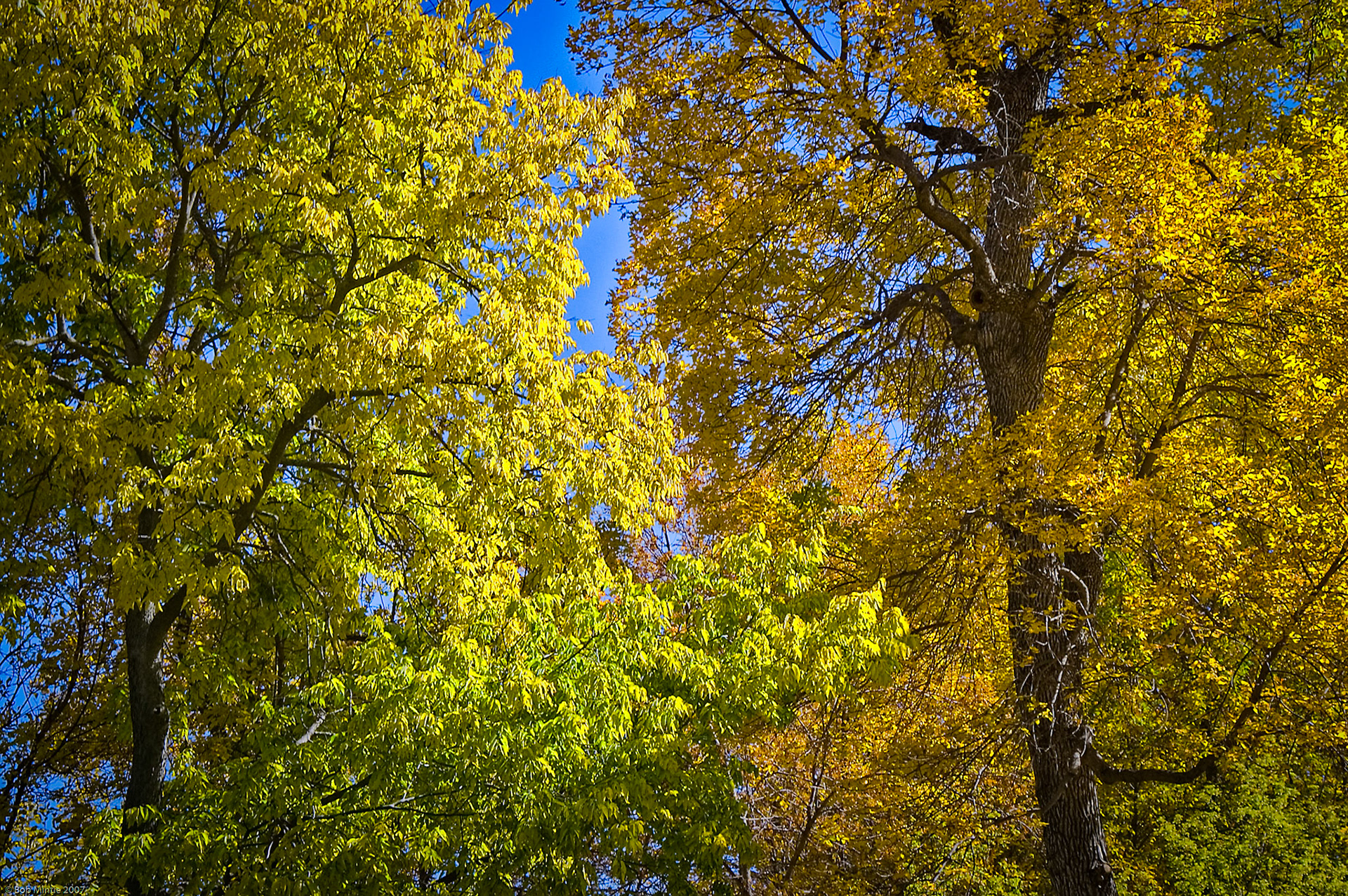 Autumn Colors