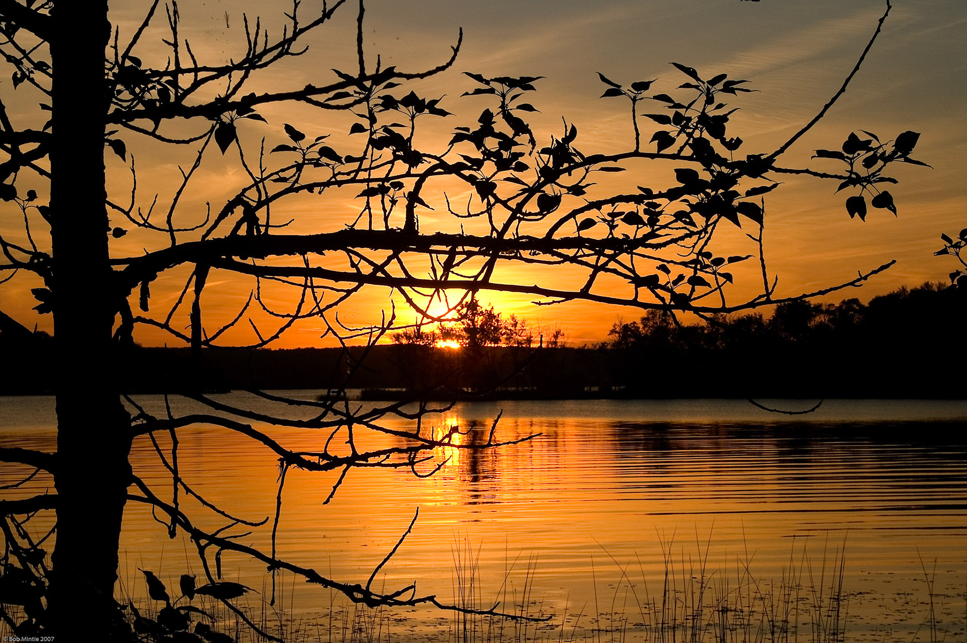 [C] Bob Mintie 2007 All Rights Reserved