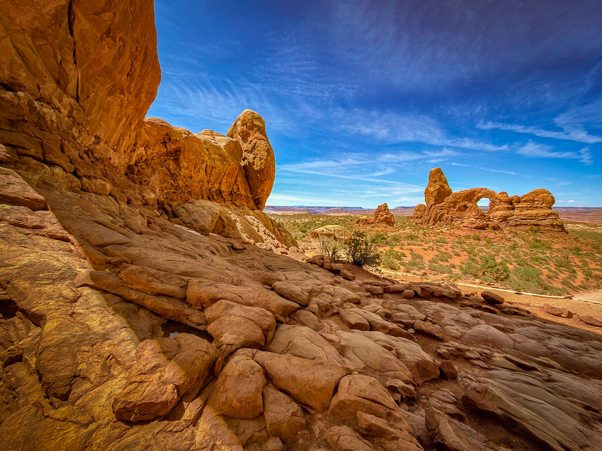 Arch View