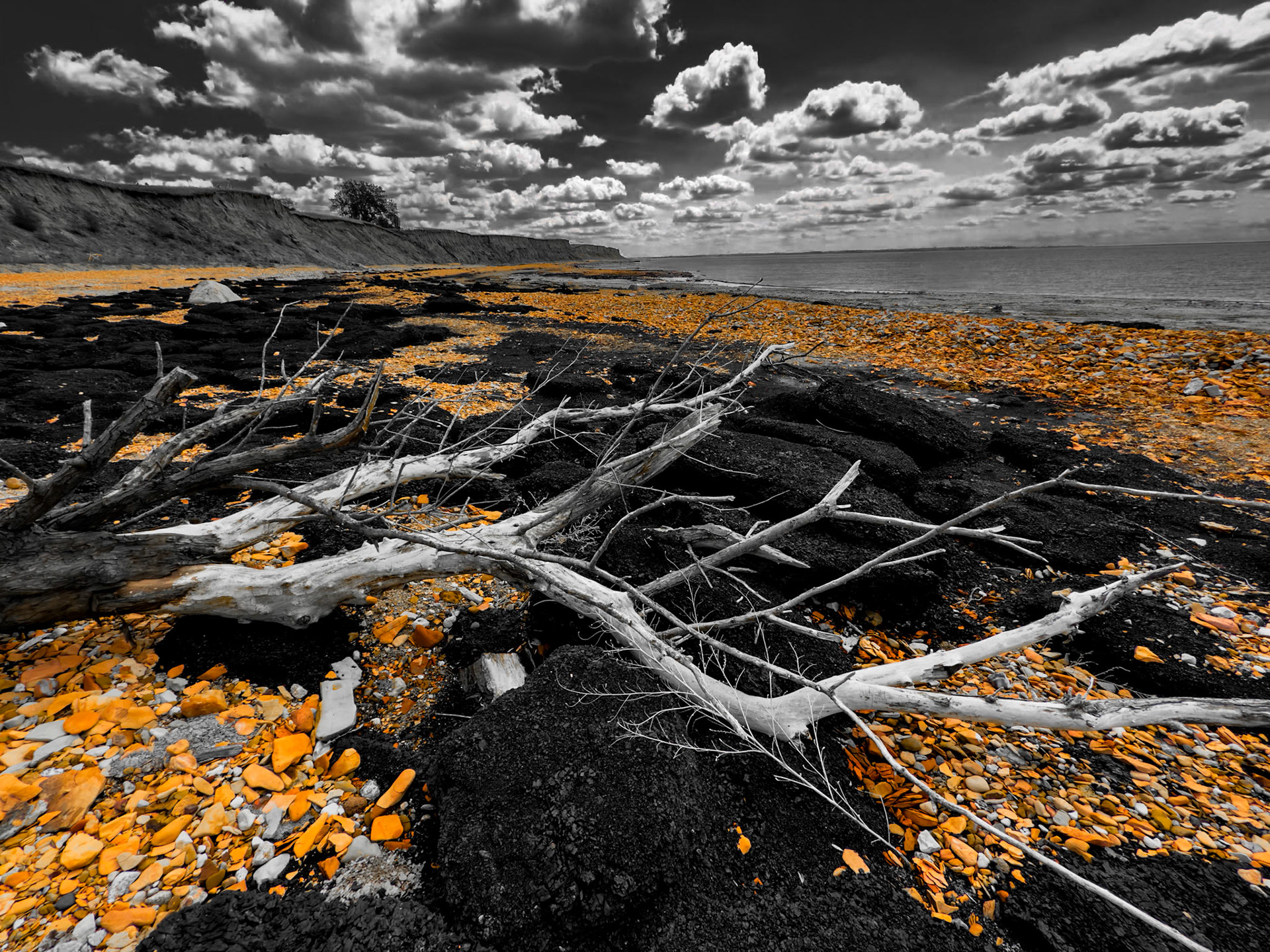 Driftwood and Orange Pebbles - Selective Color Black and White Landscape