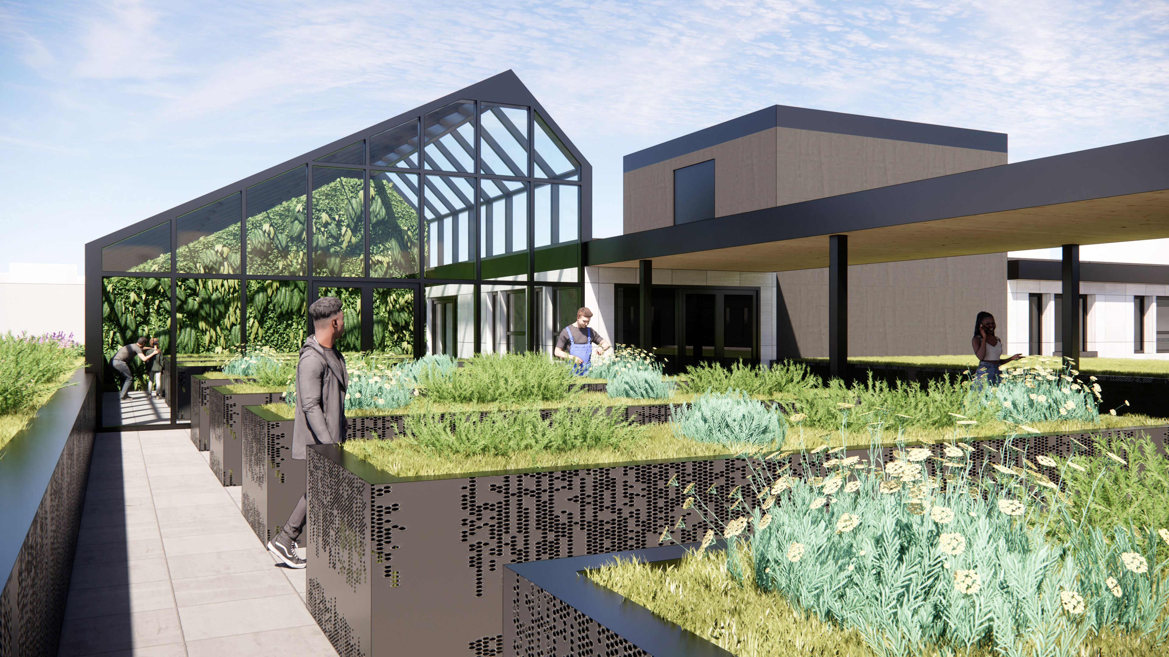 Rooftop Garden and Greenhouse