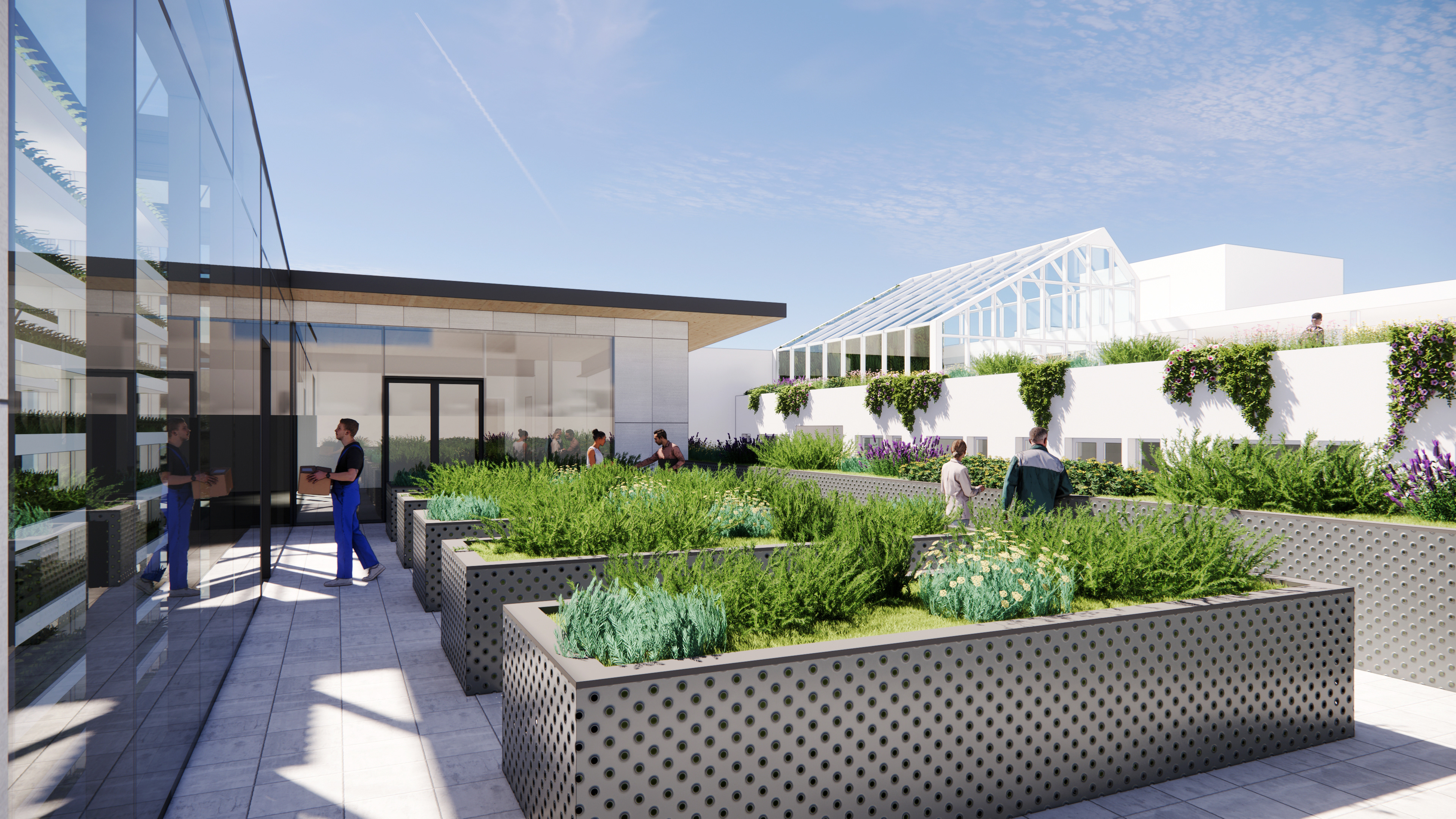 Rooftop Garden