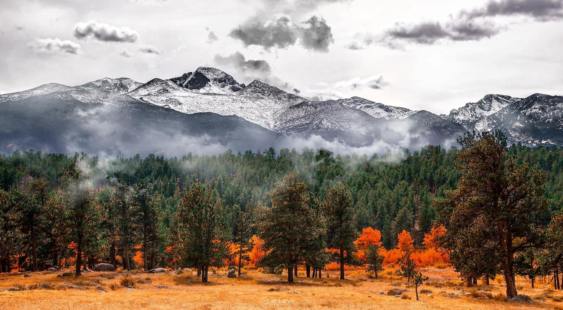 FALL SEASON | ROCKY MOUNTAIN NATIONAL PARK | COLORADO