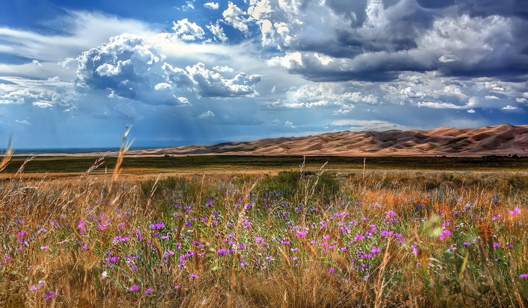 LANDSCAPE PHOTOMONTAGE | SPRING FLOWERS