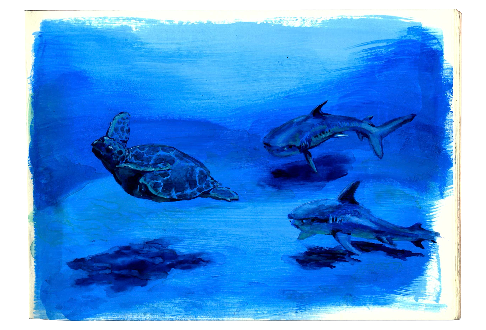 Museum of Natural History, New York, 3.5.2023