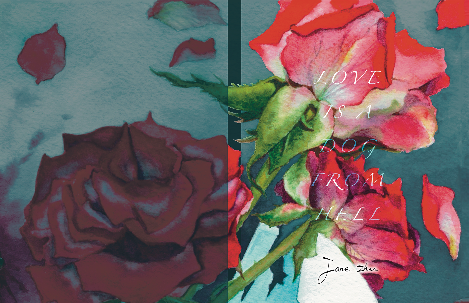 Front and Back Covers