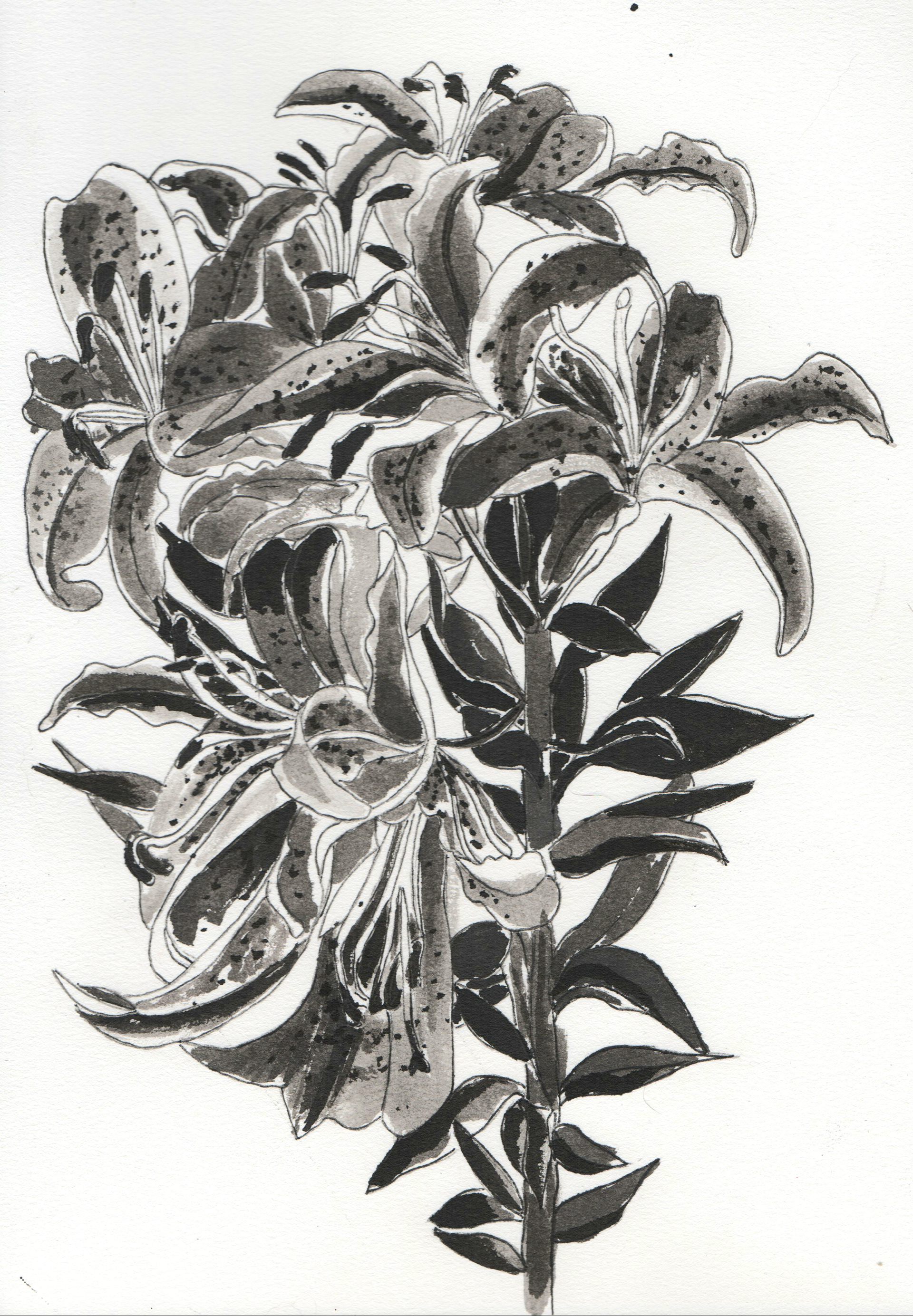 Raquel Ferreira, desenho com nanquim, 2021 - "Sem título" 28x20cm
