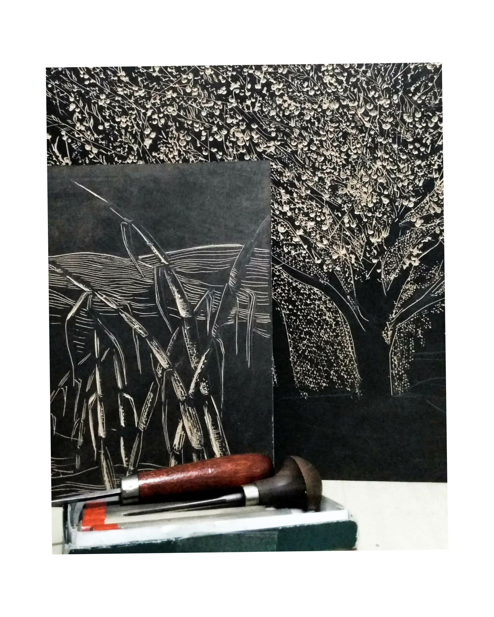 Detalhe de duas matrizes de xilogravura, obra "Montanhas e canavial" (esquerda), e "Acerola" (direita), 2019