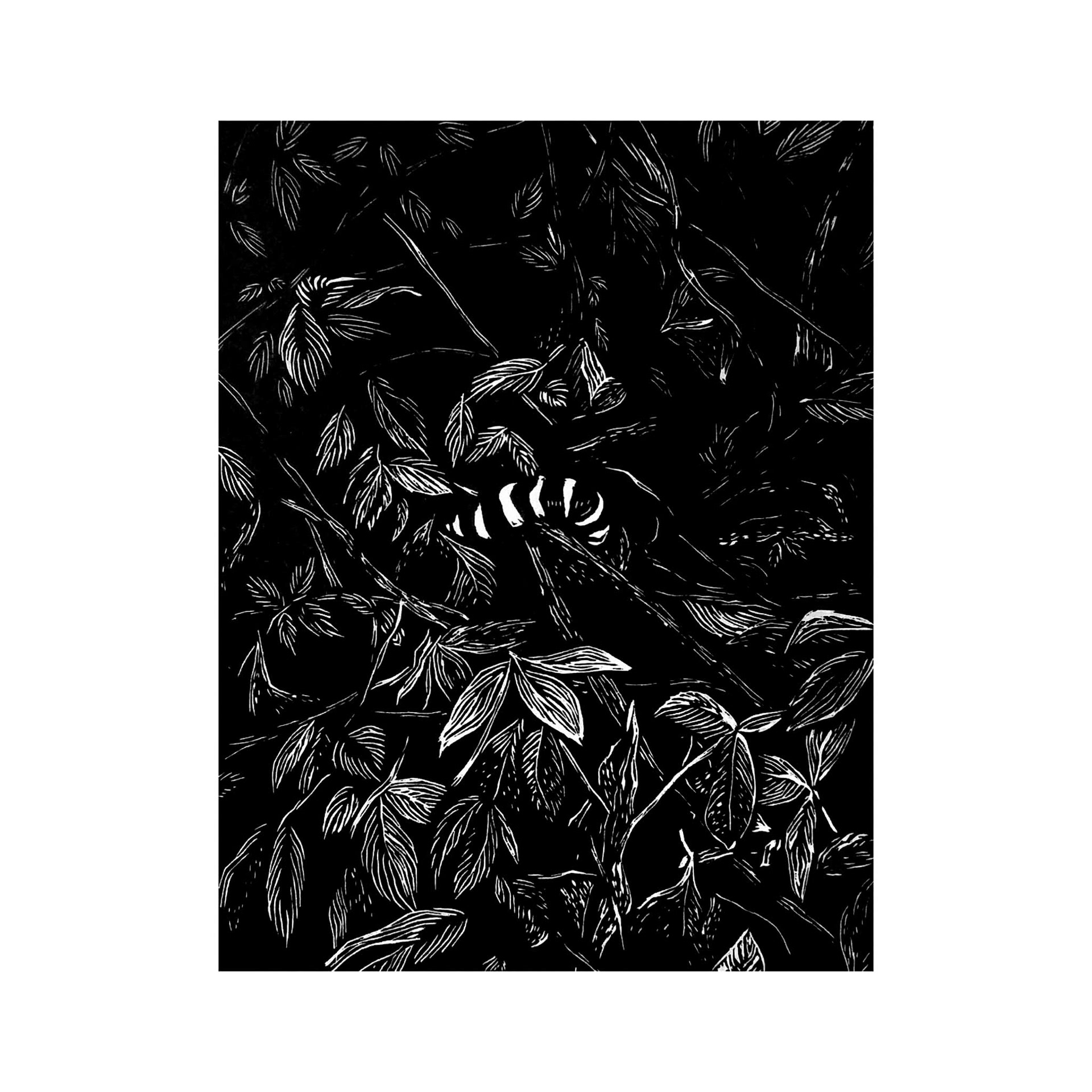 Raquel Ferreira, xilogravura sobre papel, 2020 - "O criador" 27x21cm