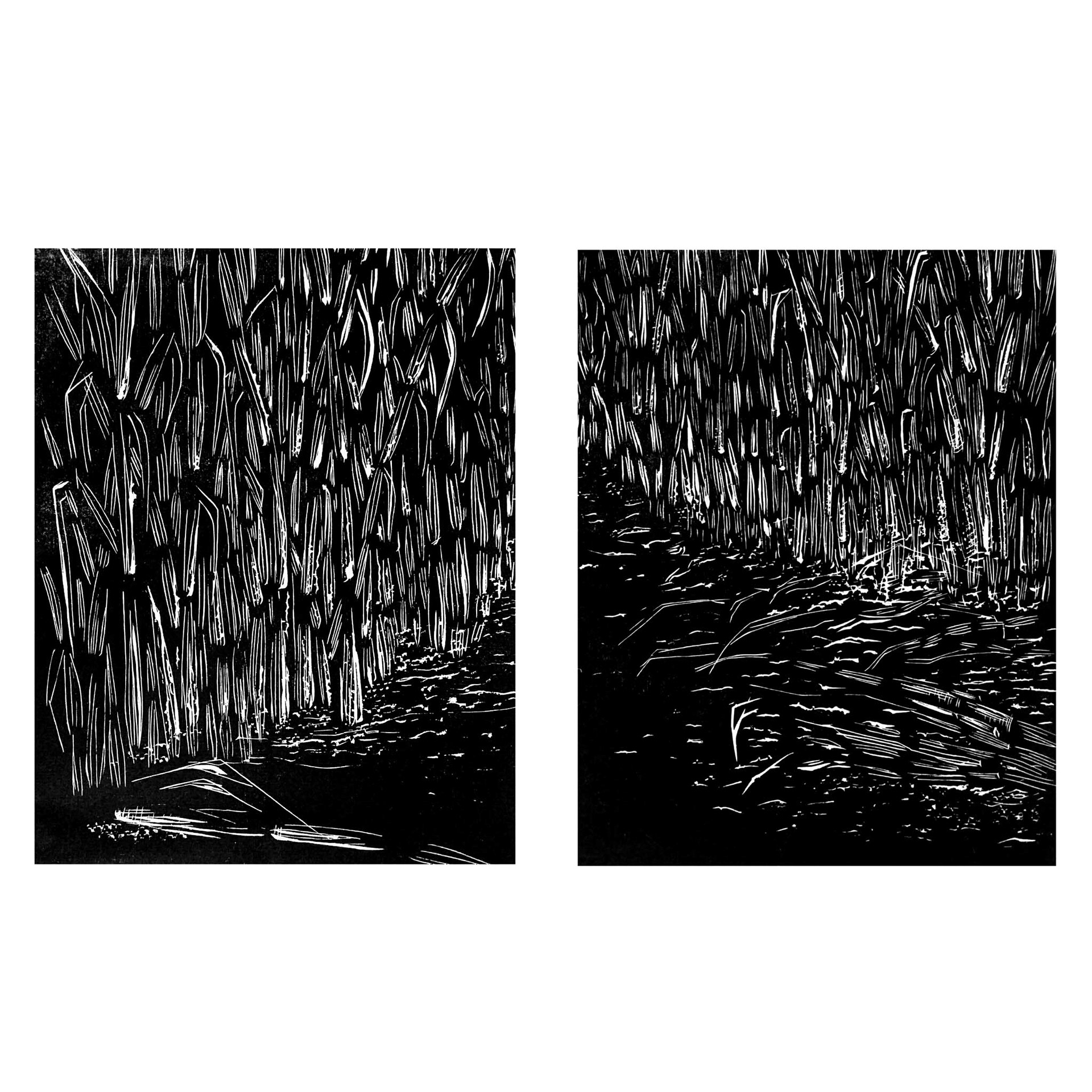 Raquel Ferreira, composição de xilogravura sobre papel, 2019 - "Caminho" 57x34cm