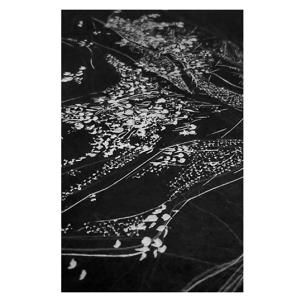 Detalhe de uma matriz de xilogravura, obra "Acerola", 2019