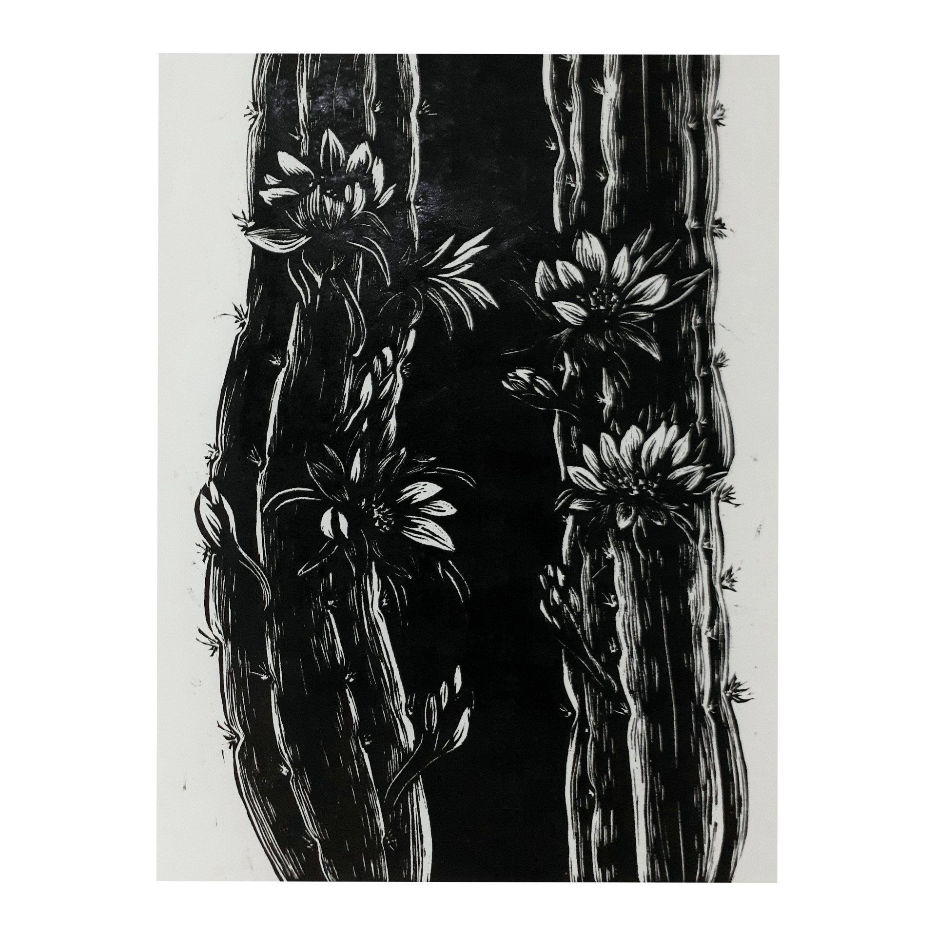 Raquel Ferreira, xilogravura sobre papel, 2021 - "Mandacaru" 59x42cm