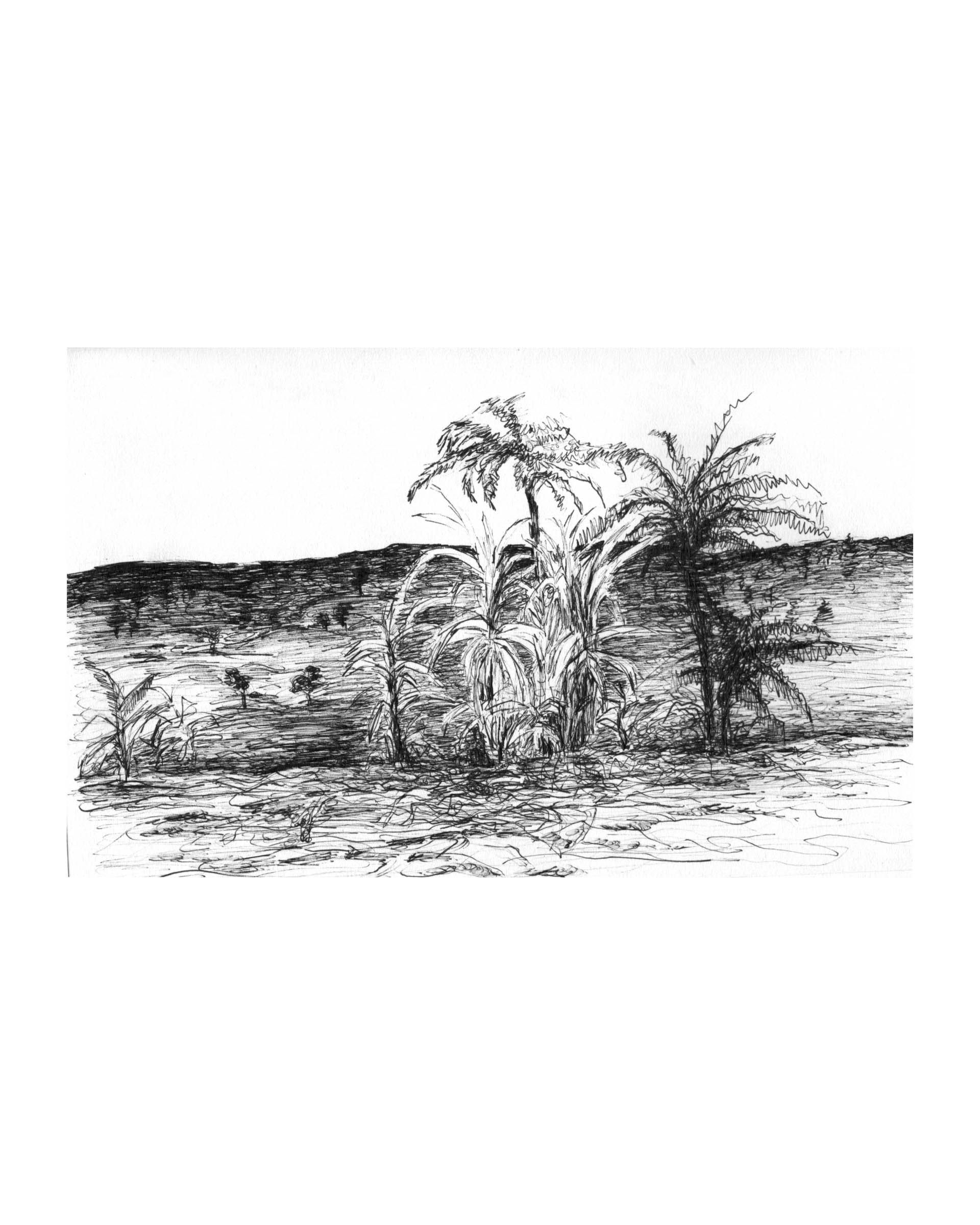 Raquel Ferreira, desenho de estudo, 2019 - 21x14cm