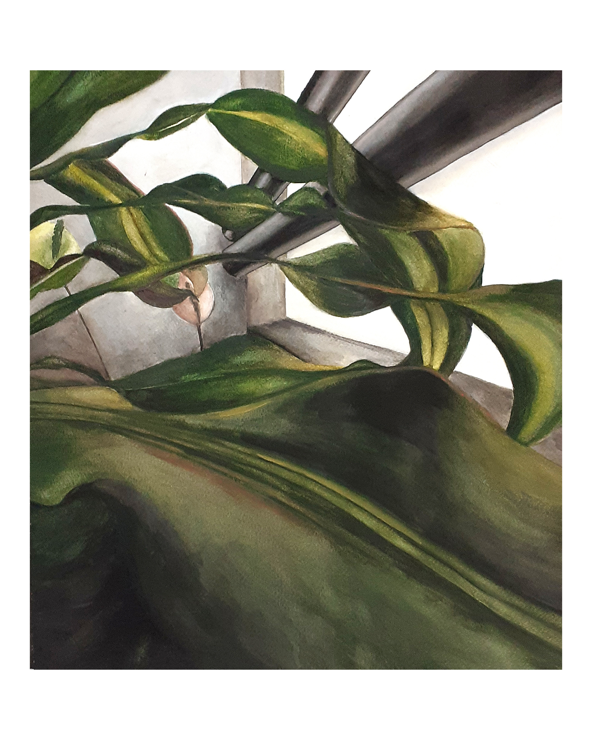 Raquel Ferreira, aquarela sobre papel, 2020 - "Dracena" 43x37cm