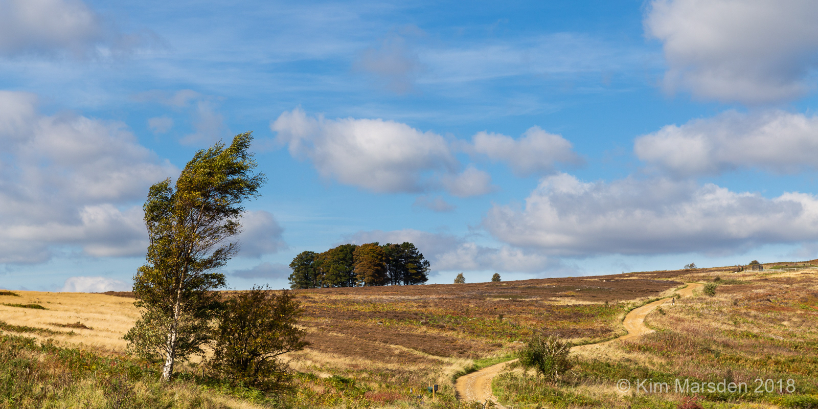 Above Farndale