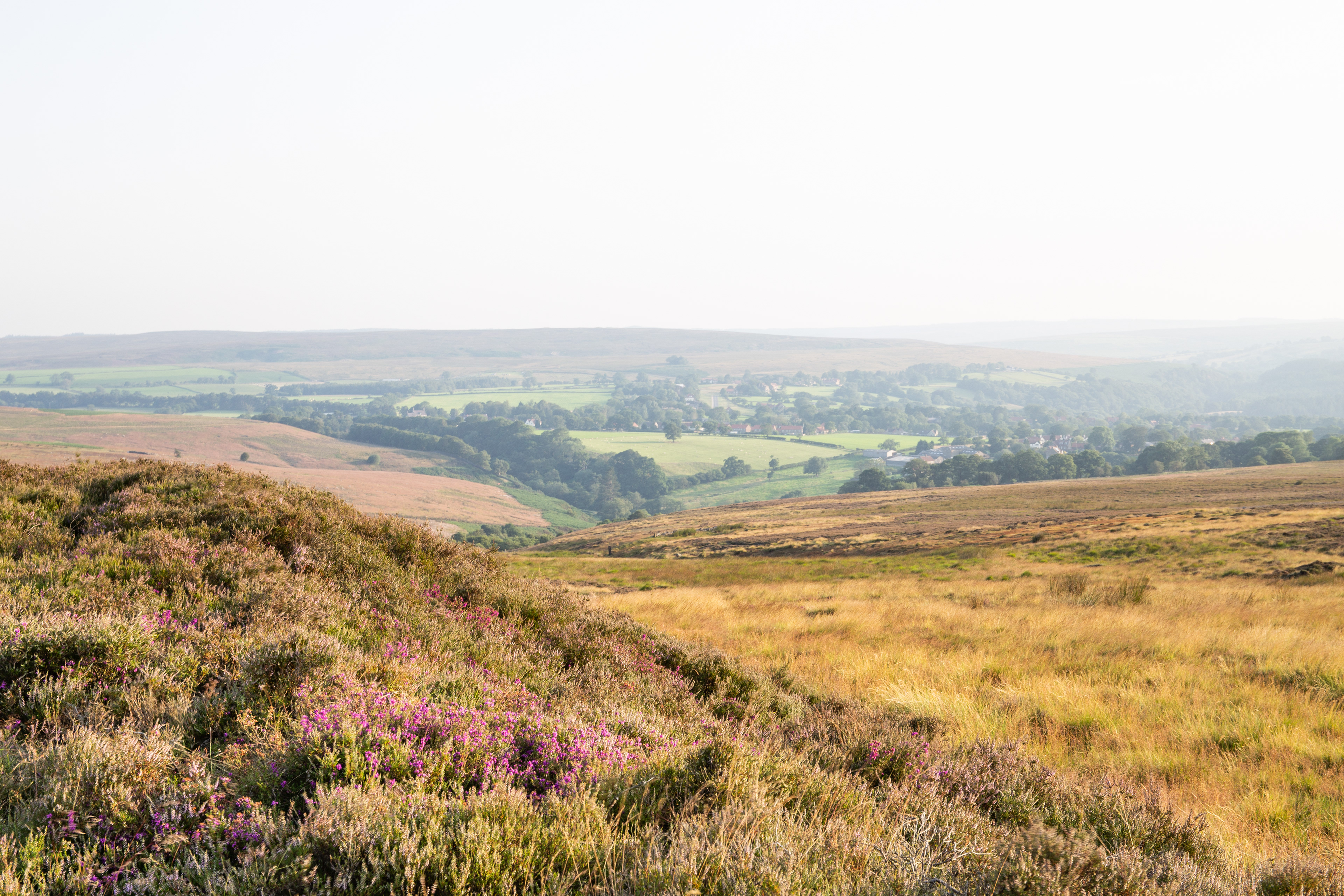 Hazy light over Goathland