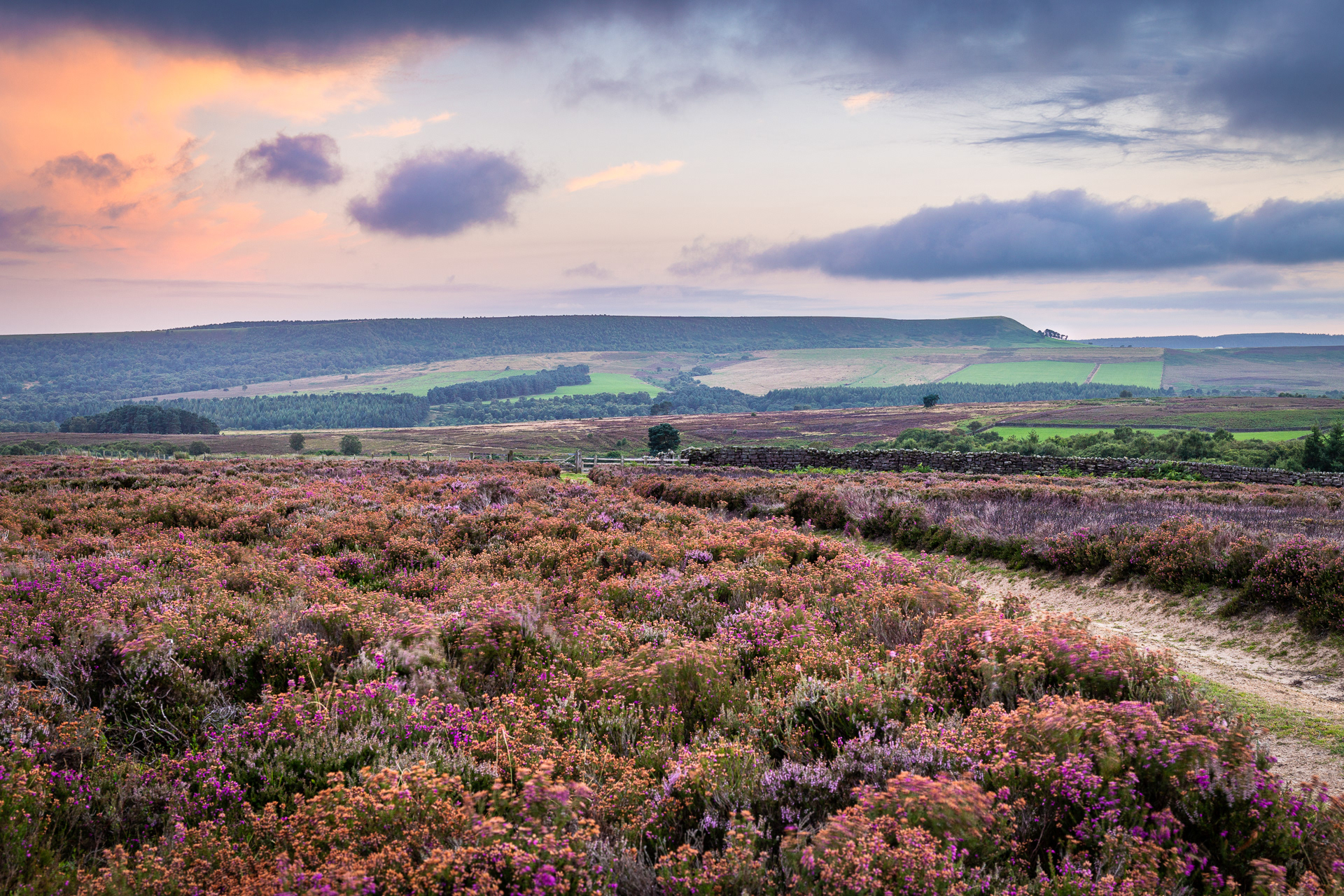 Across Sleightholme Dale