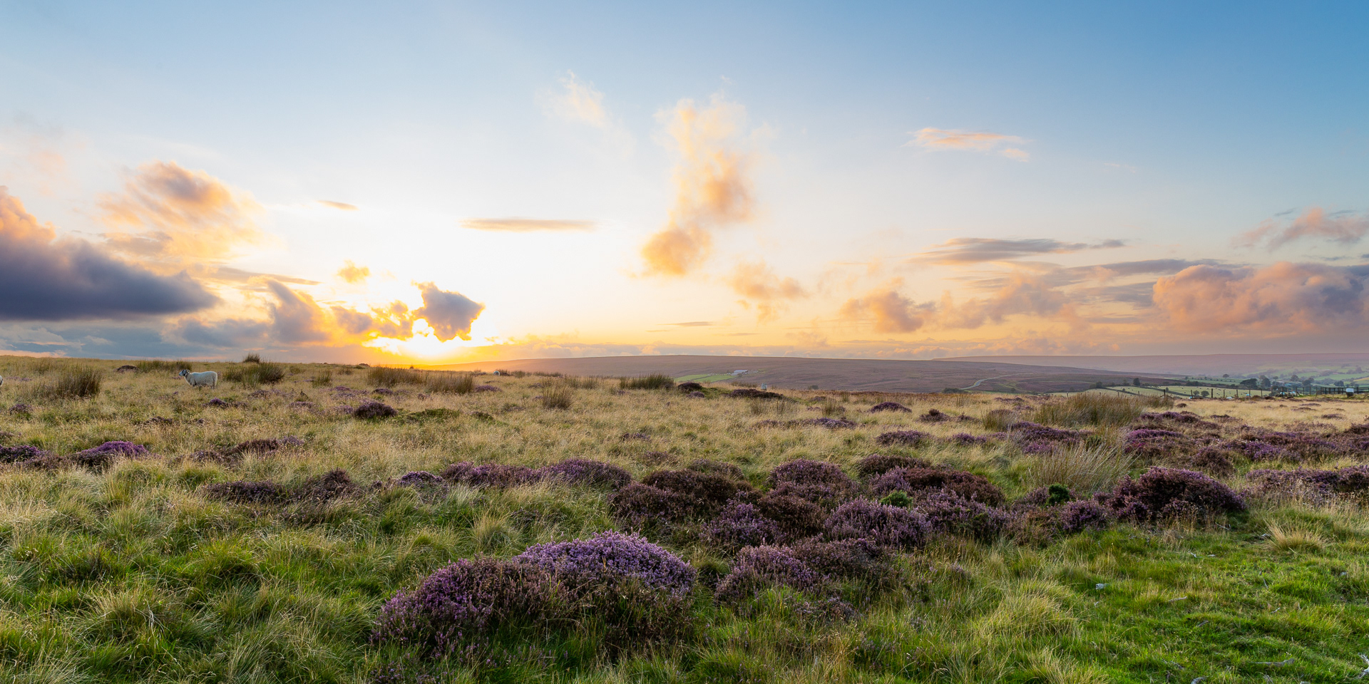 Moorland Sunset