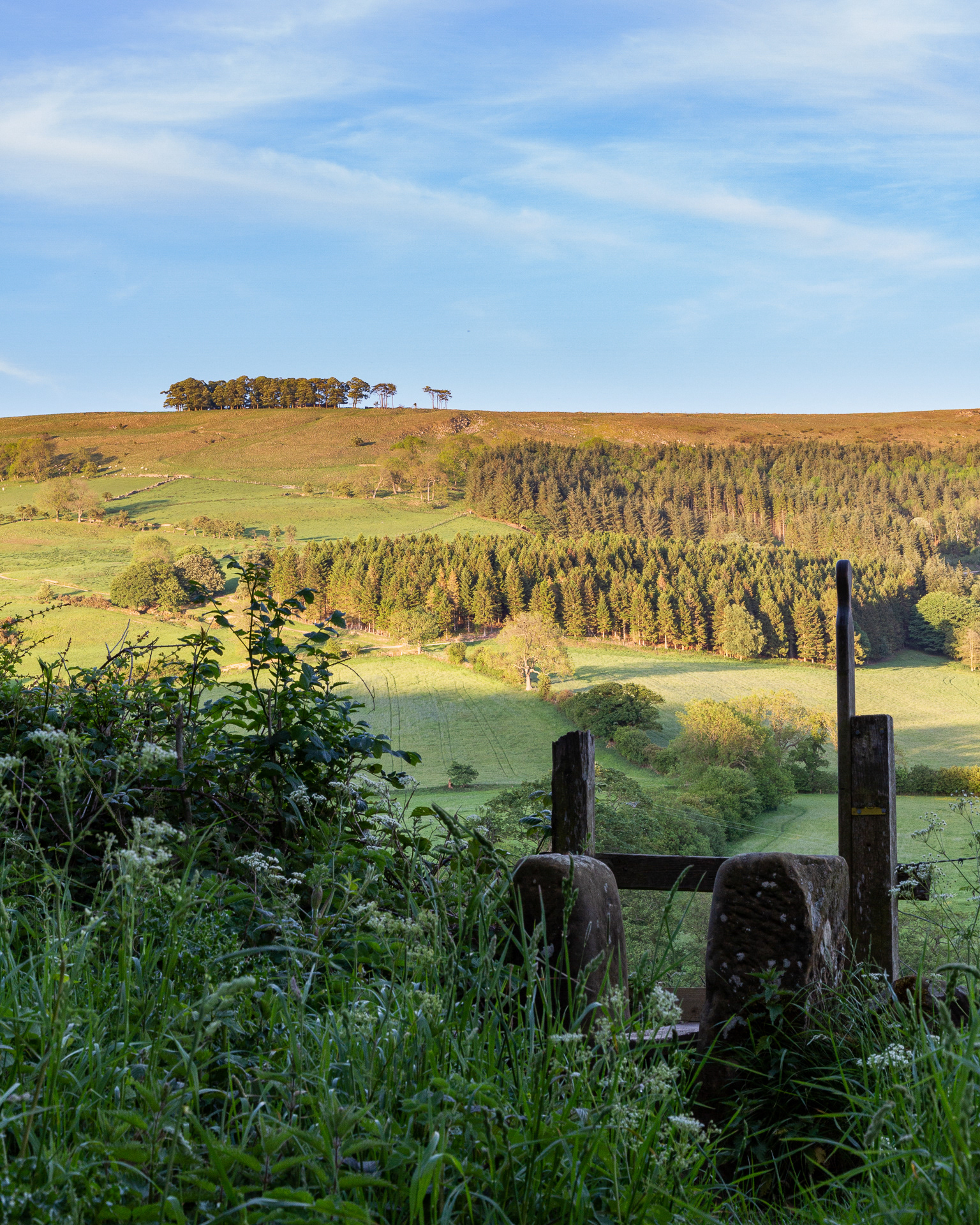 View towards Sutton Bank