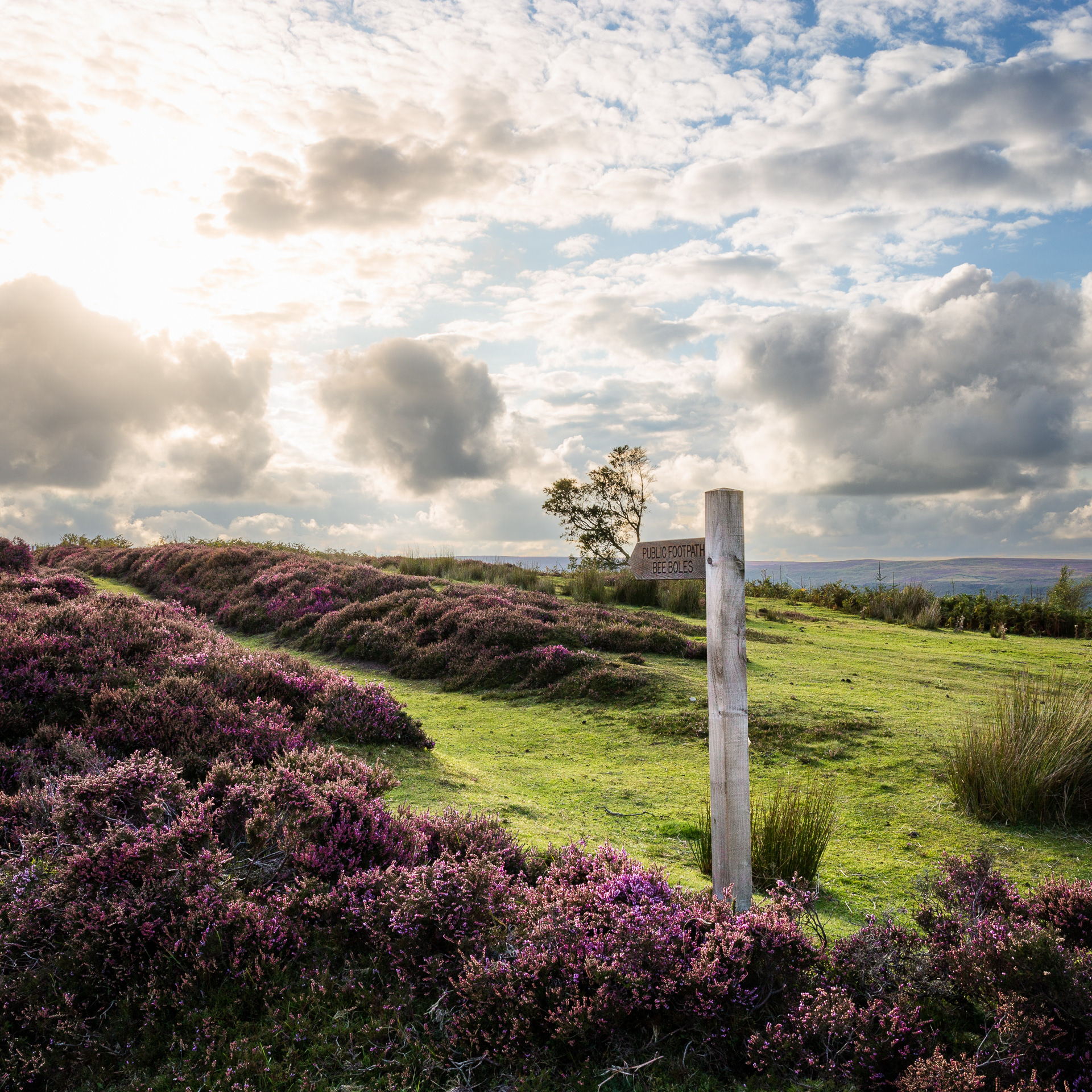 Stunning moorland light