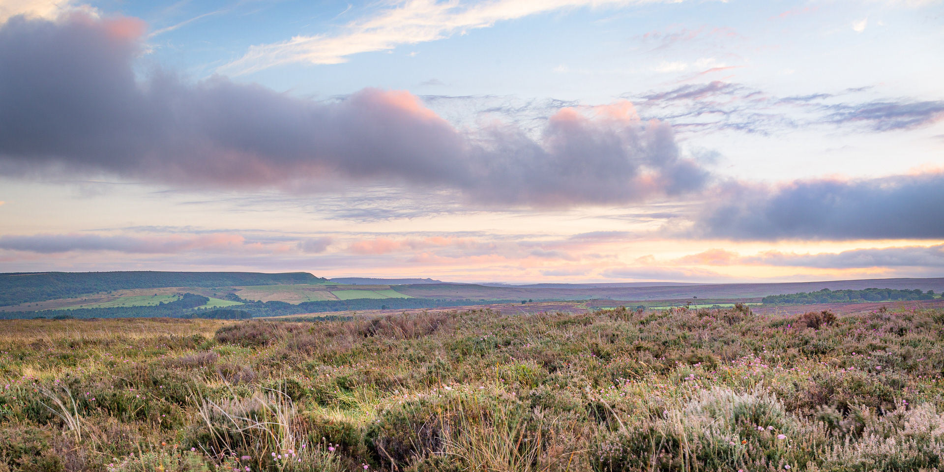 Across Sleightholme Dale