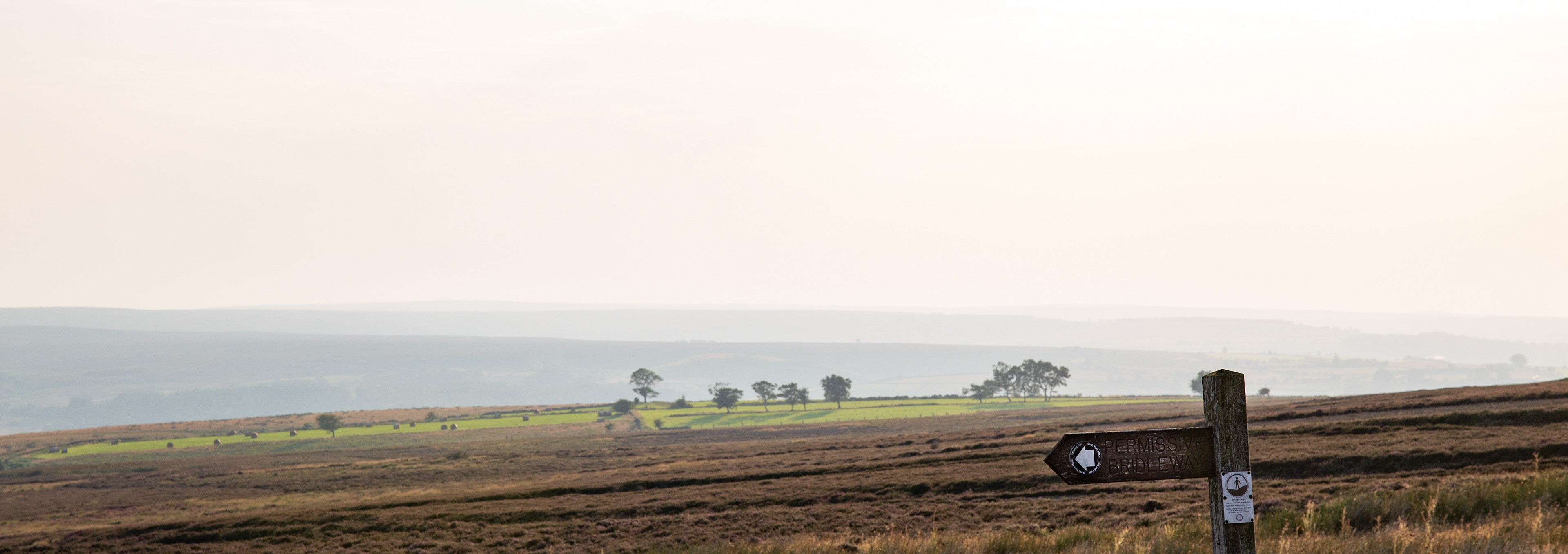 Hazy late light over Goathland