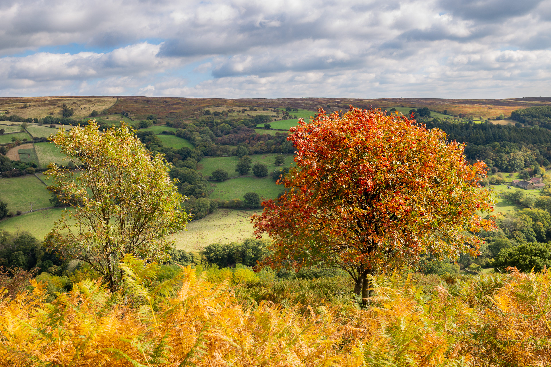 Autumn over Farndale