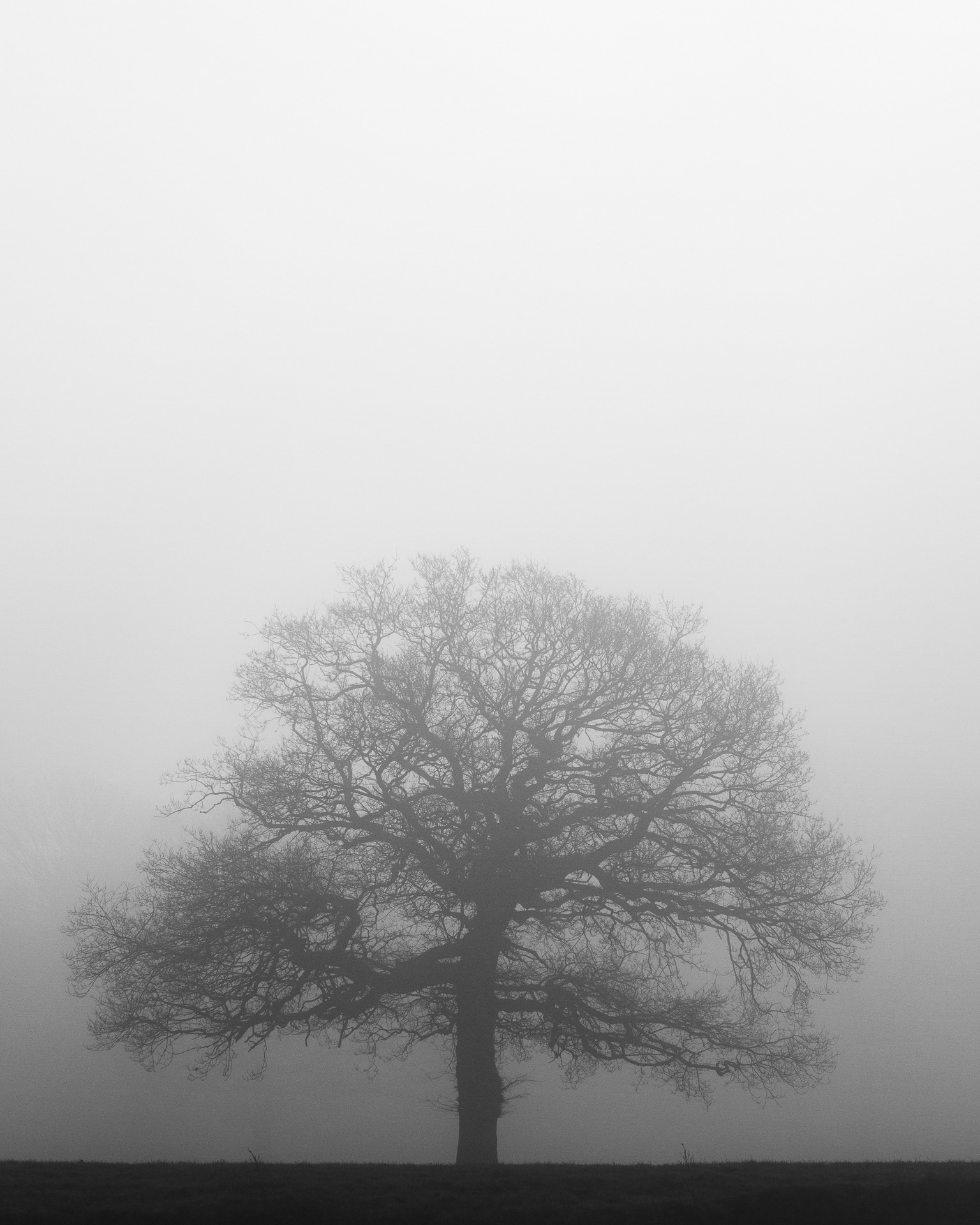 Misty morning - River Ouse
