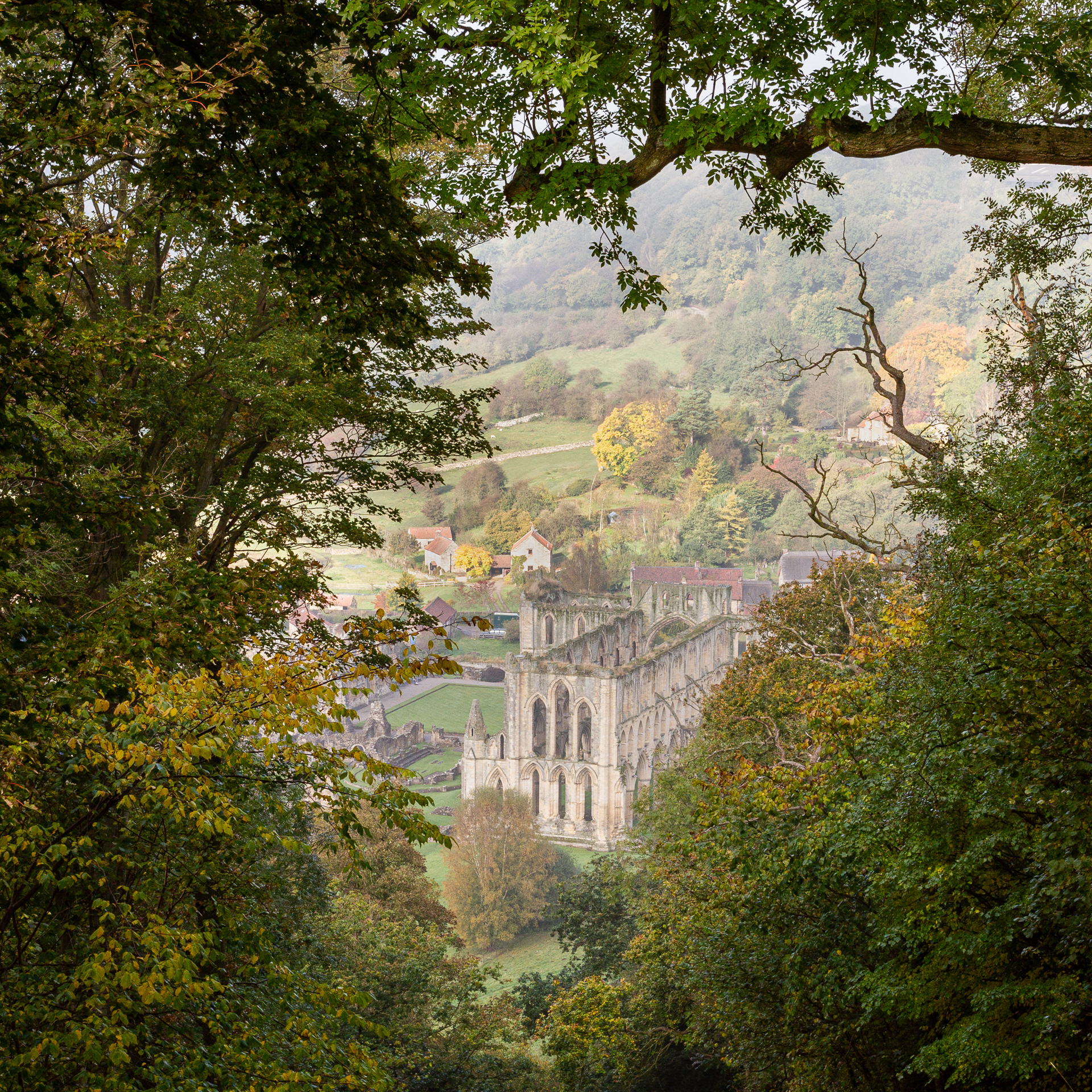 Misty Revievaulx