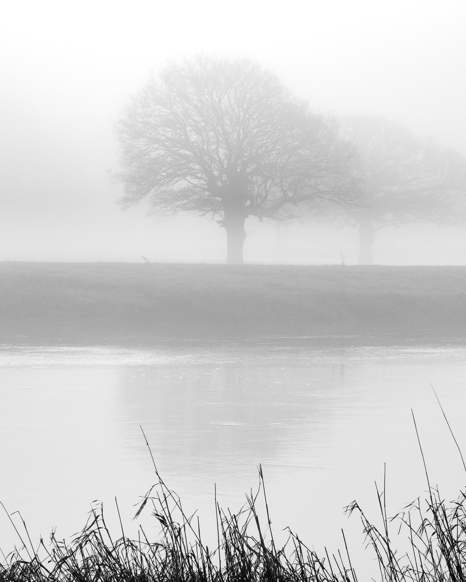 Misty morning - River Ouse