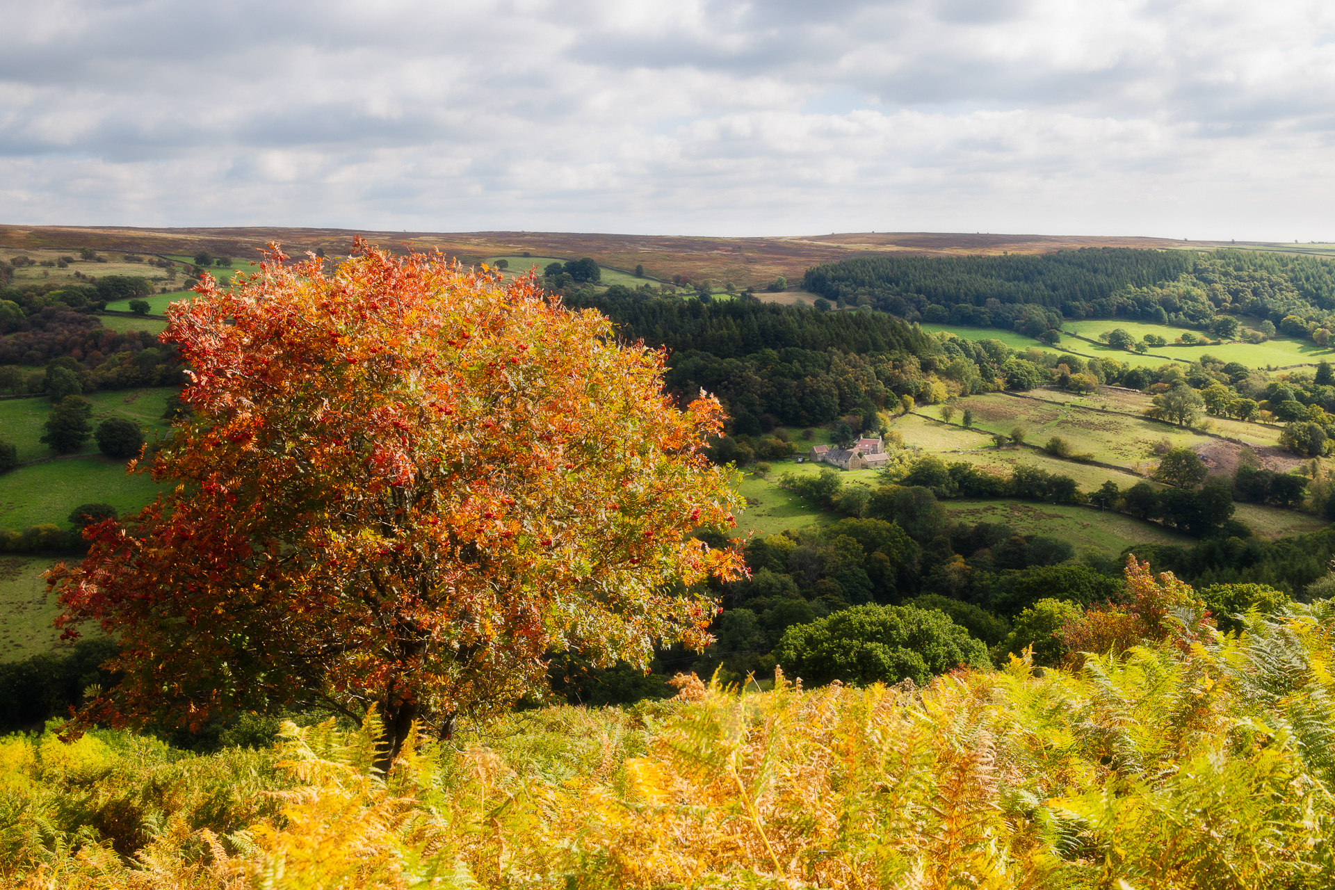 Autumn over Farndale